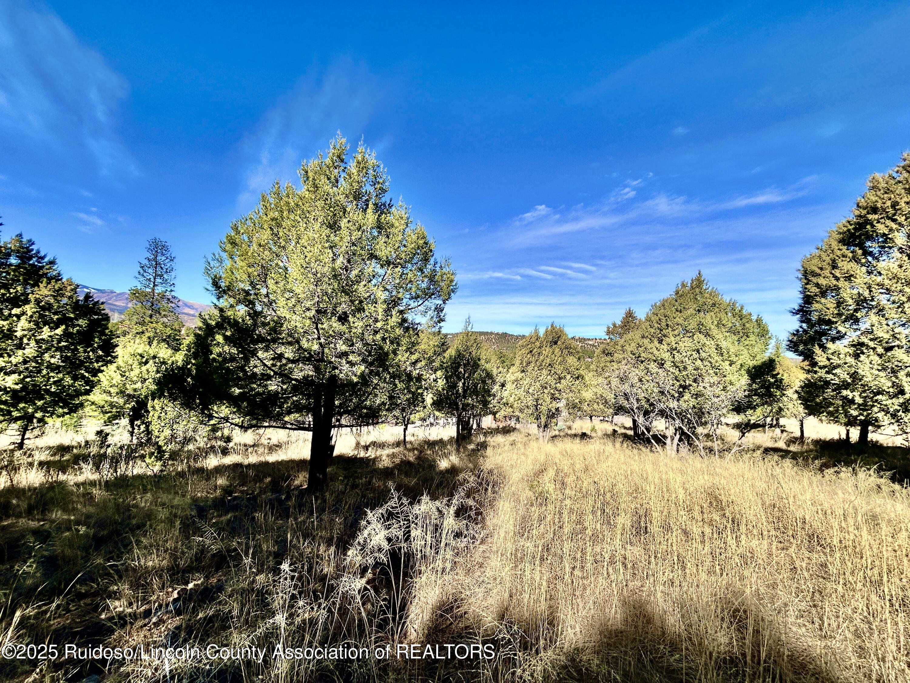 204 Timberline Court, Ruidoso, New Mexico image 6