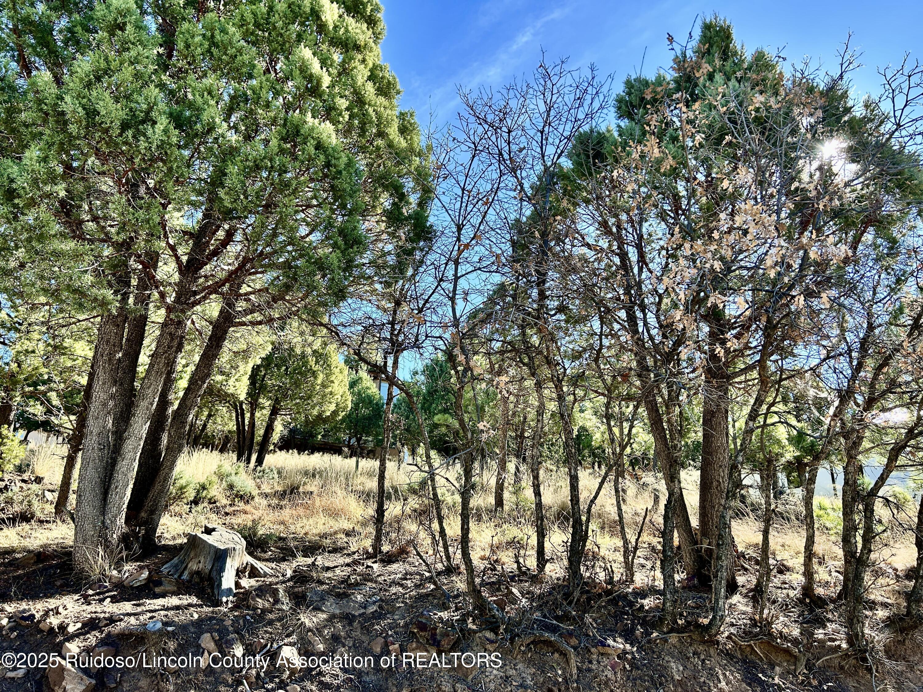 204 Timberline Court, Ruidoso, New Mexico image 4