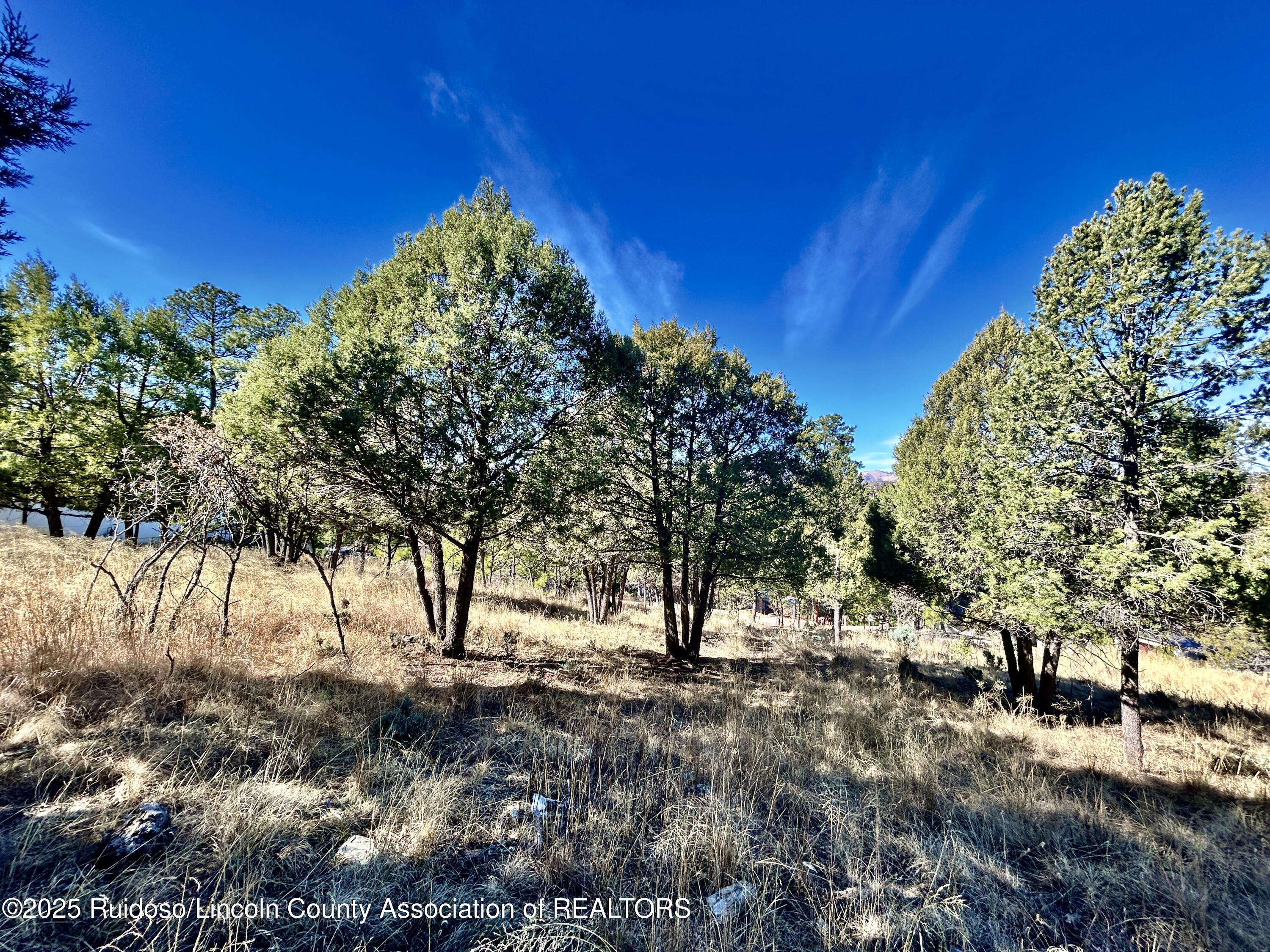 204 Timberline Court, Ruidoso, New Mexico image 5