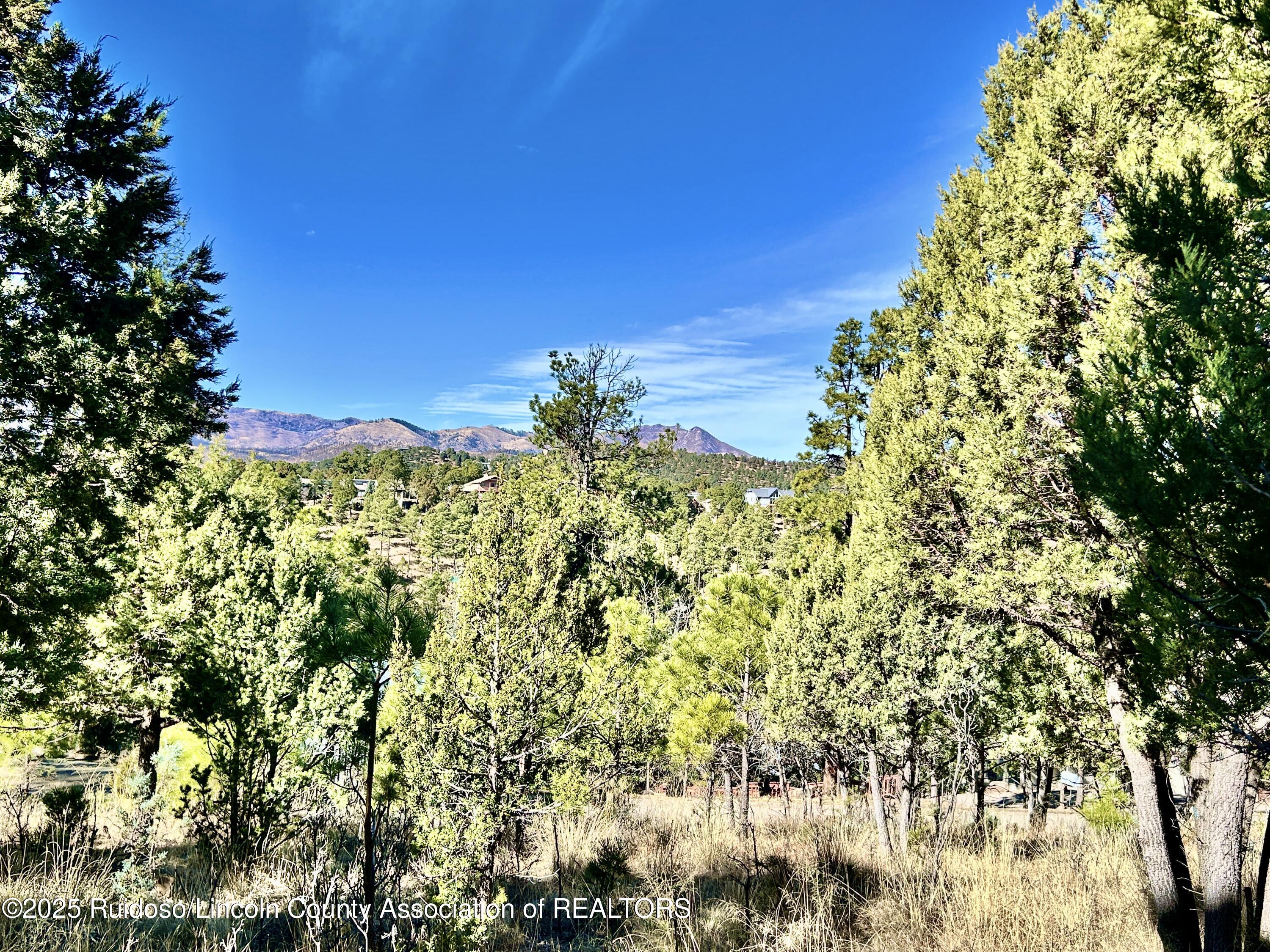 204 Timberline Court, Ruidoso, New Mexico image 8