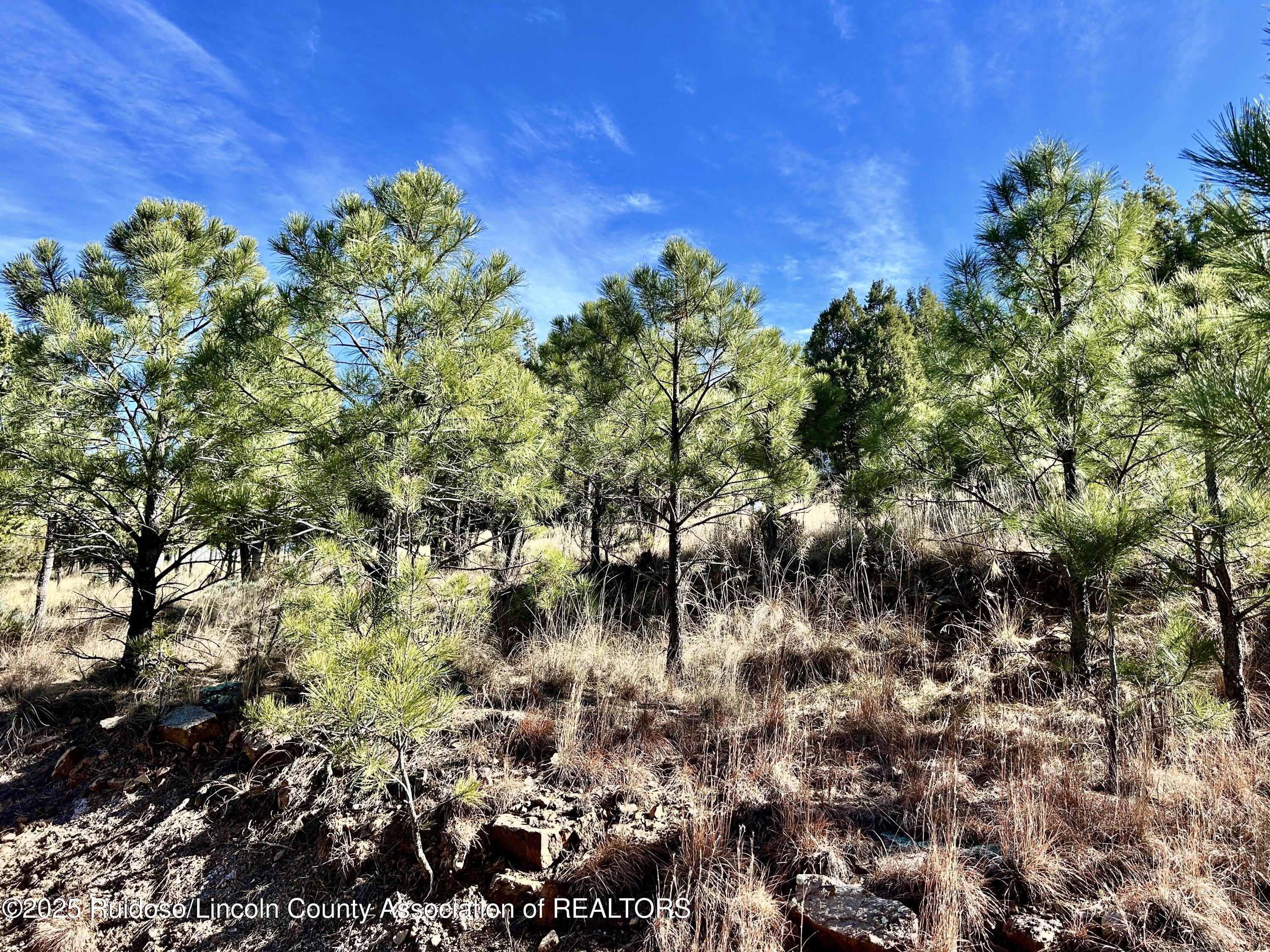 204 Timberline Court, Ruidoso, New Mexico image 3