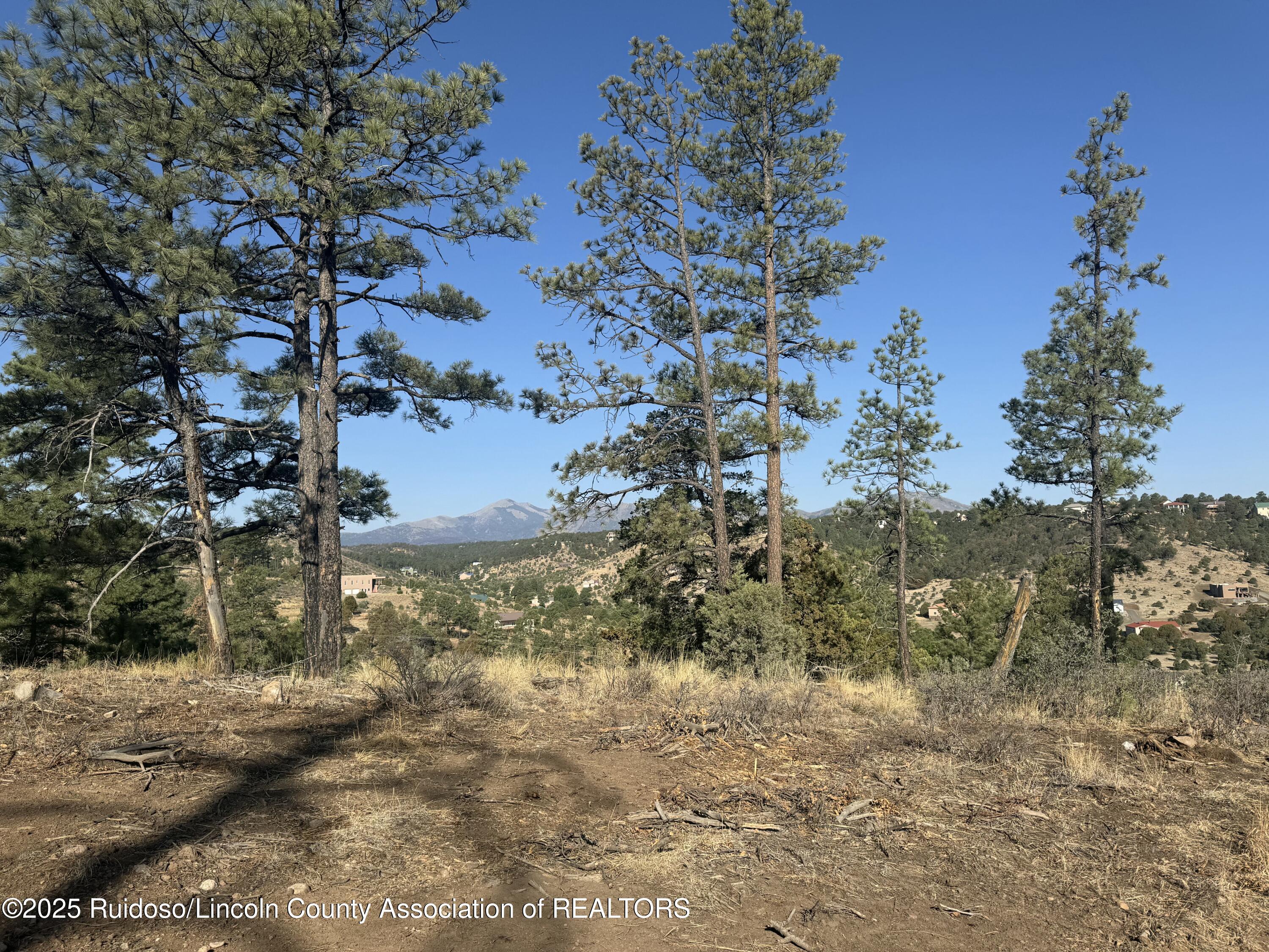 Lot 10C Sam Snead Court, Alto, New Mexico image 16