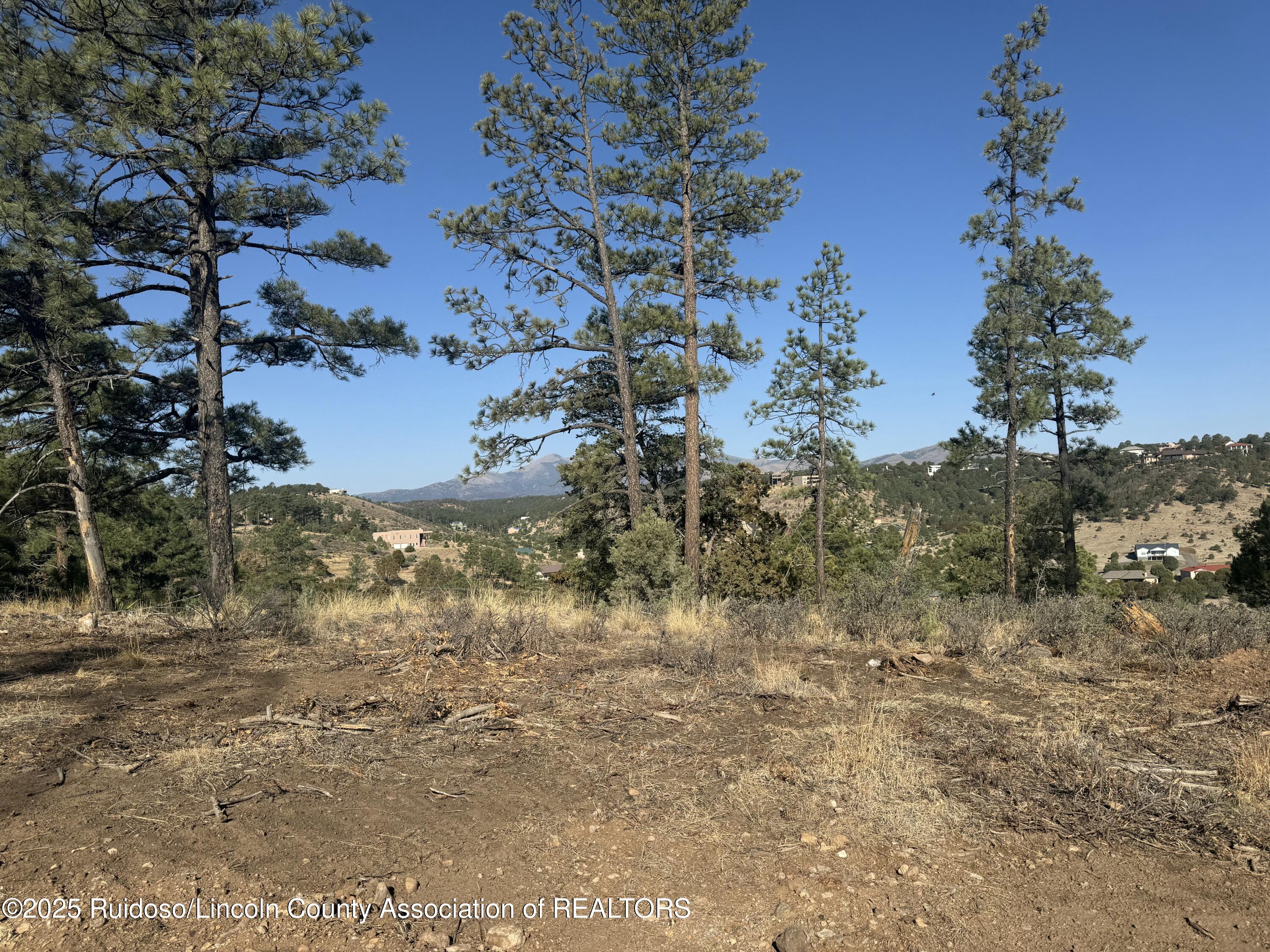 Lot 10C Sam Snead Court, Alto, New Mexico image 15