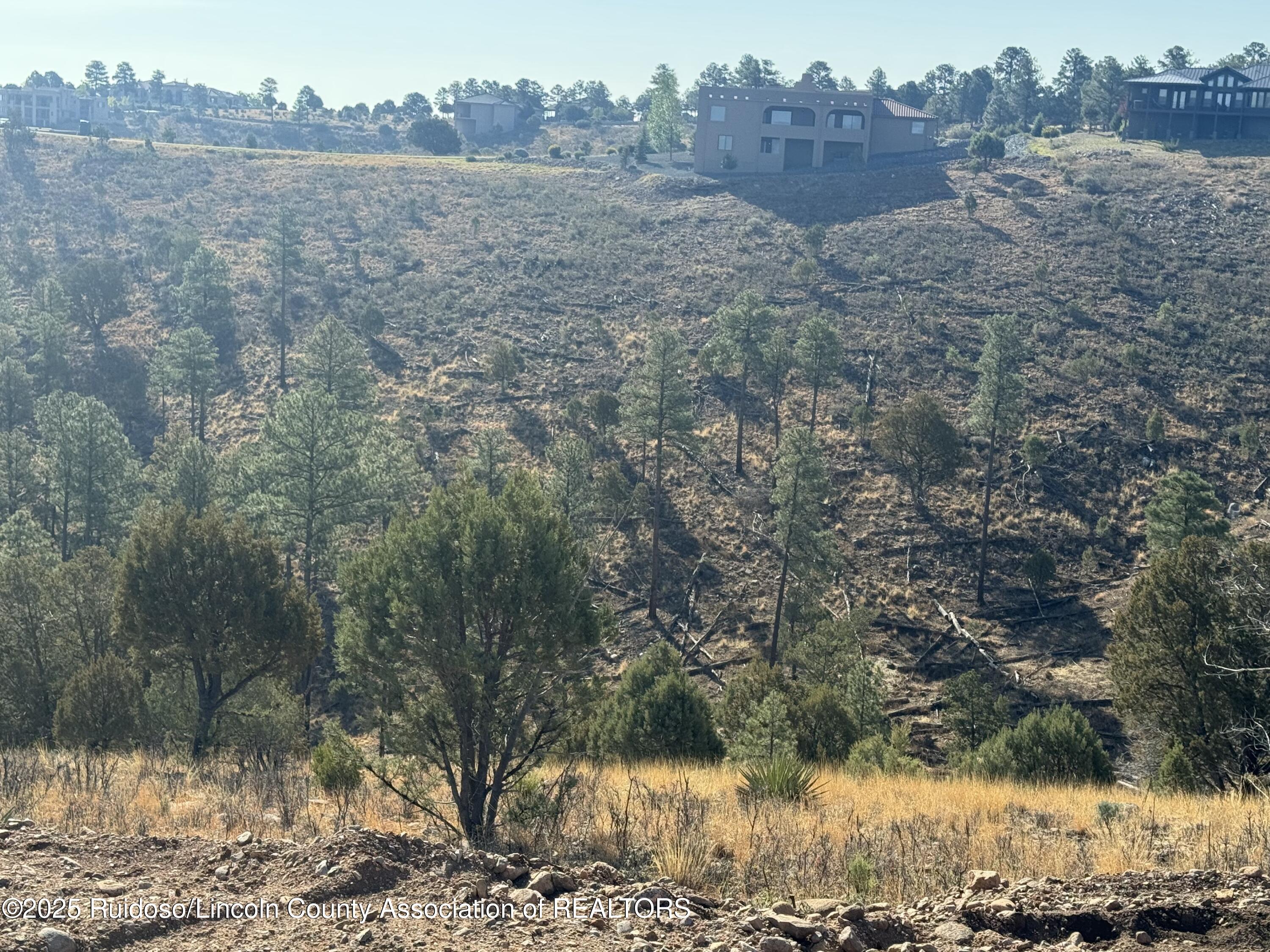 Lot 10C Sam Snead Court, Alto, New Mexico image 8