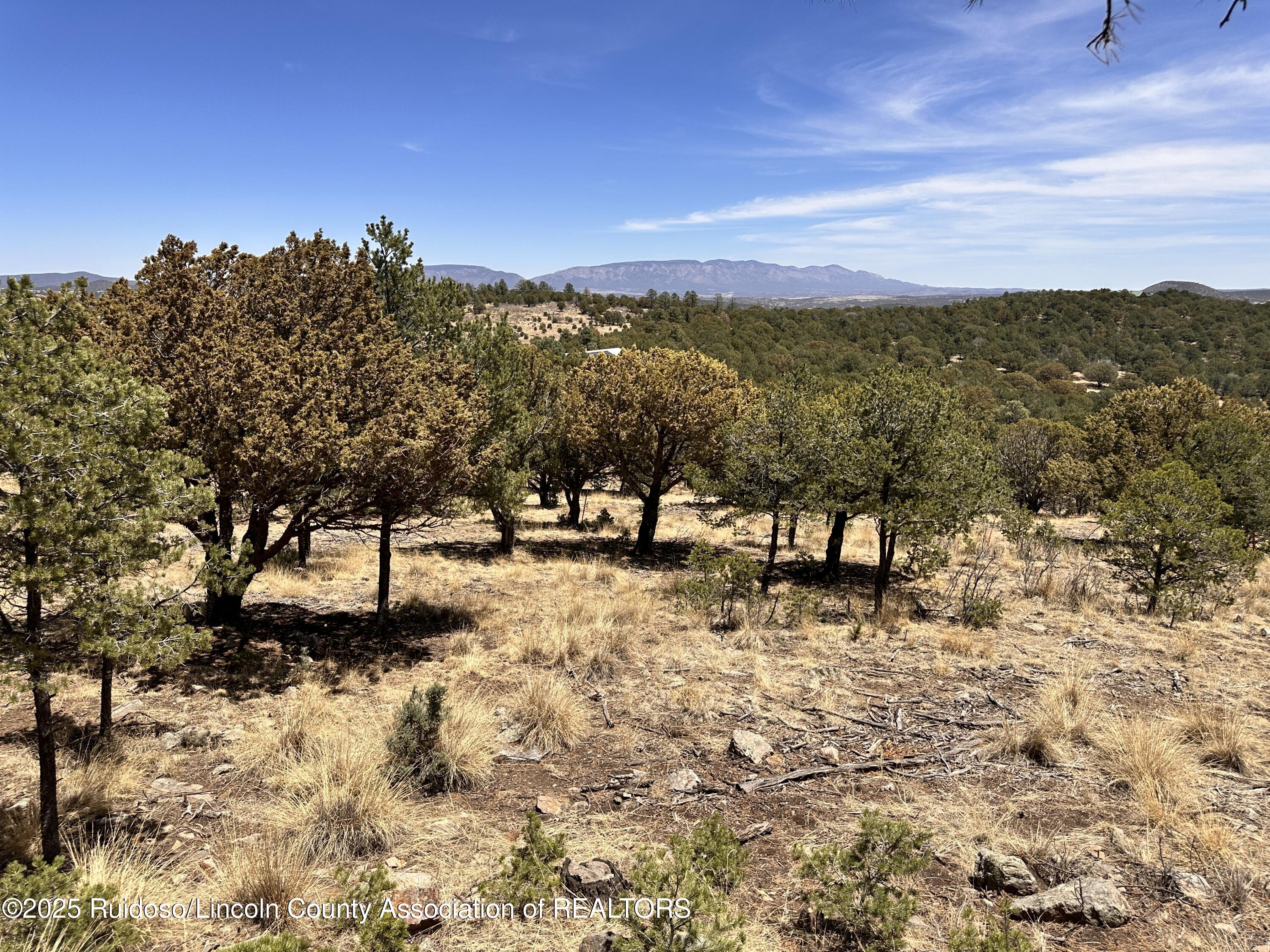 143 Loma Grande Road, Nogal, New Mexico image 14