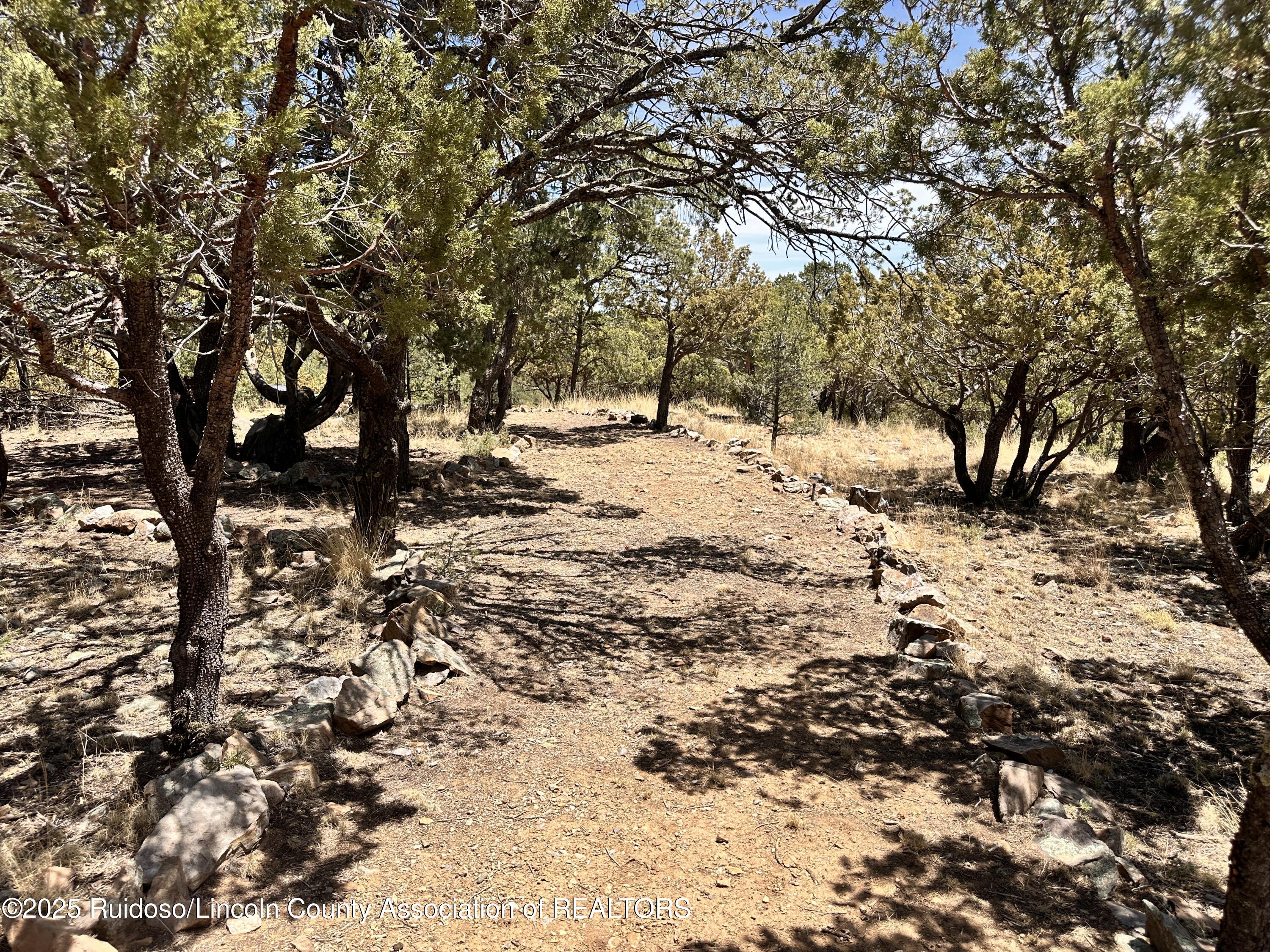 143 Loma Grande Road, Nogal, New Mexico image 17