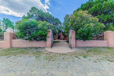 231 Cedar Crest Road  NM 88341