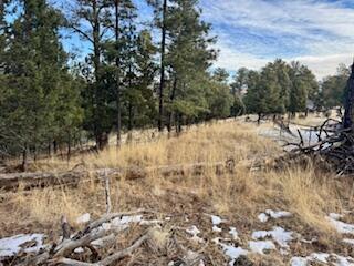 Lots 10-12 Rosewood Trail, Alto, New Mexico image 4