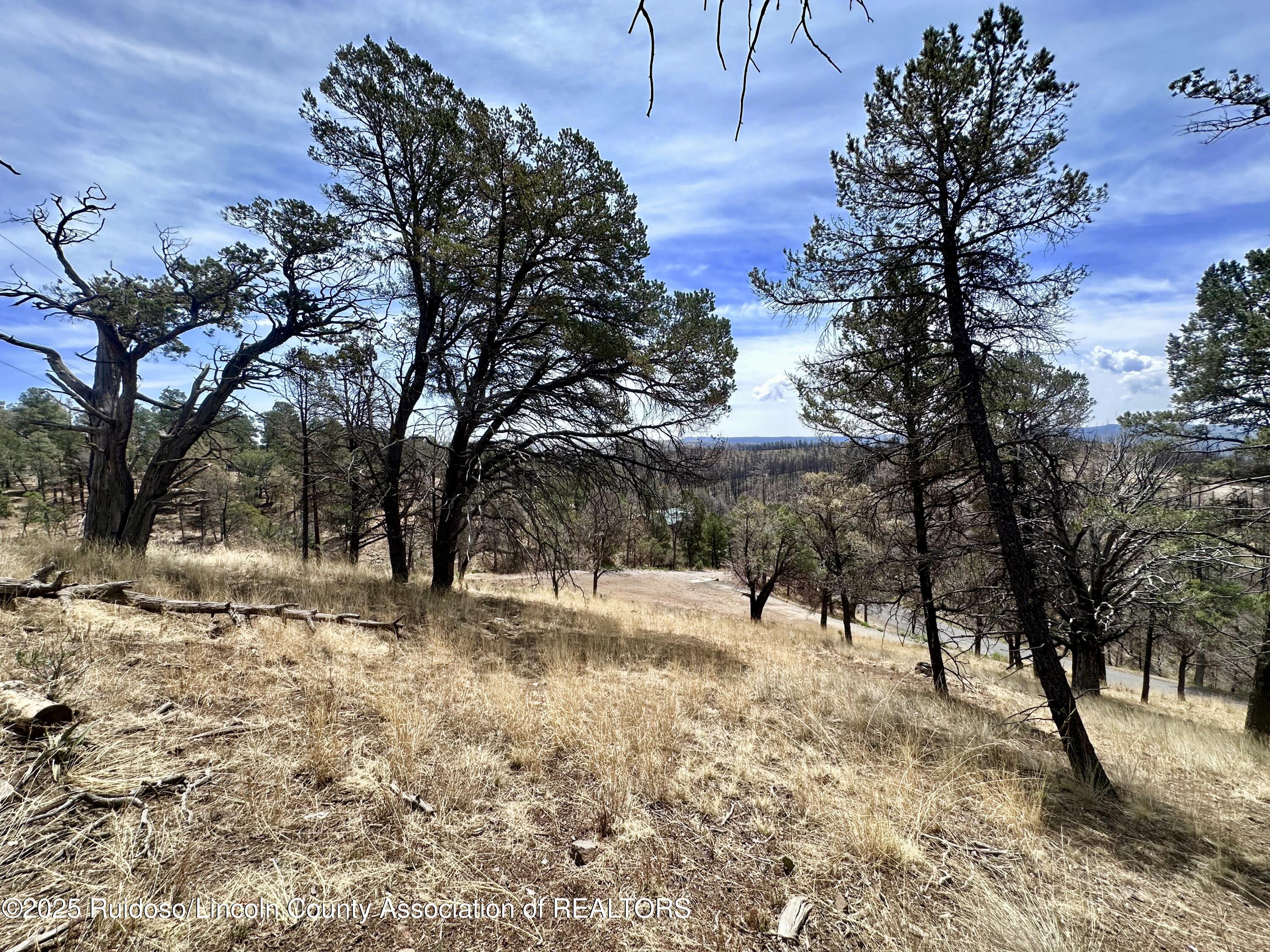 Lot 8A Alpine Village Drive, Ruidoso, New Mexico image 17