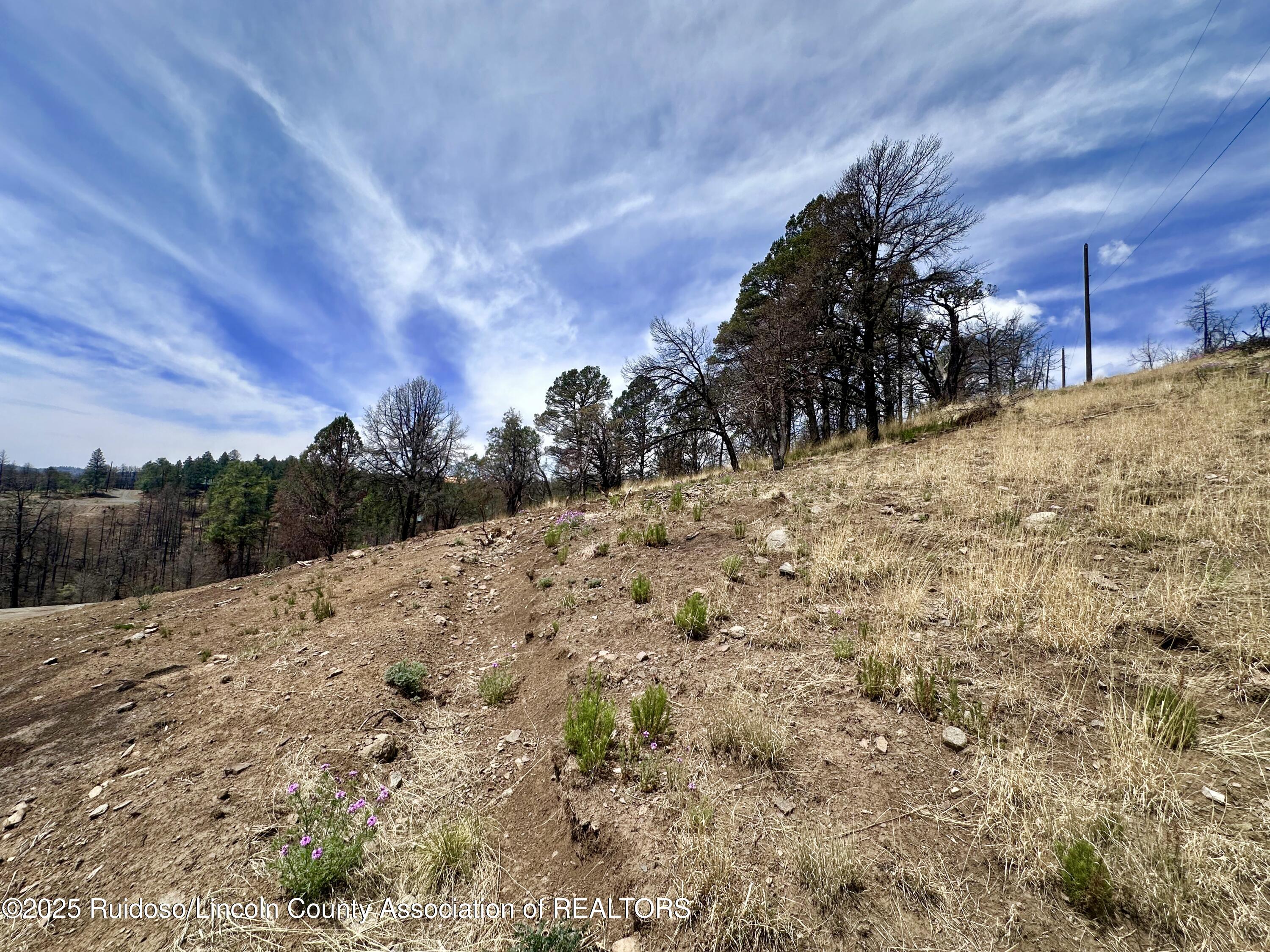Lot 8A Alpine Village Drive, Ruidoso, New Mexico image 13