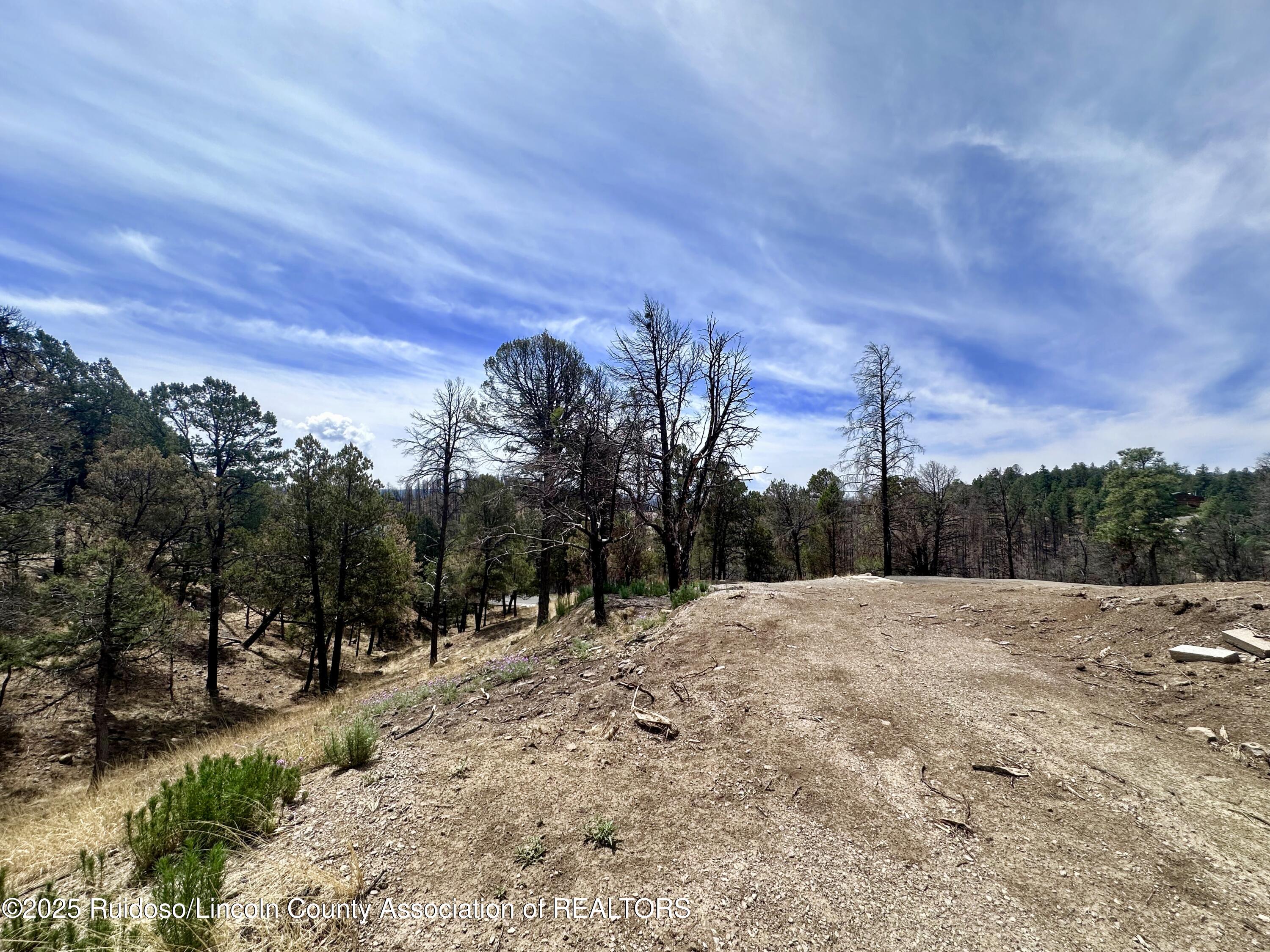 Lot 8A Alpine Village Drive, Ruidoso, New Mexico image 12