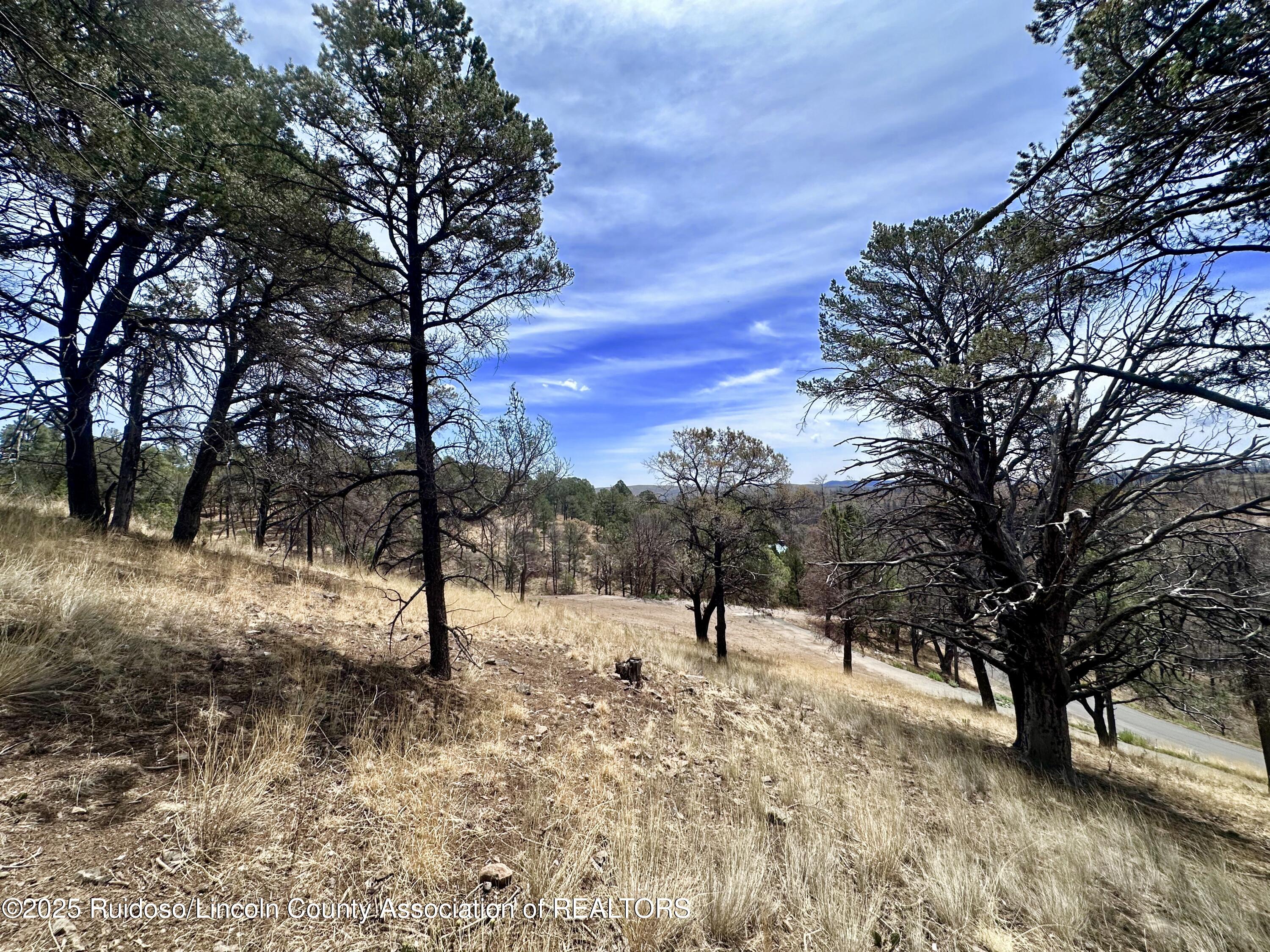 Lot 8A Alpine Village Drive, Ruidoso, New Mexico image 18