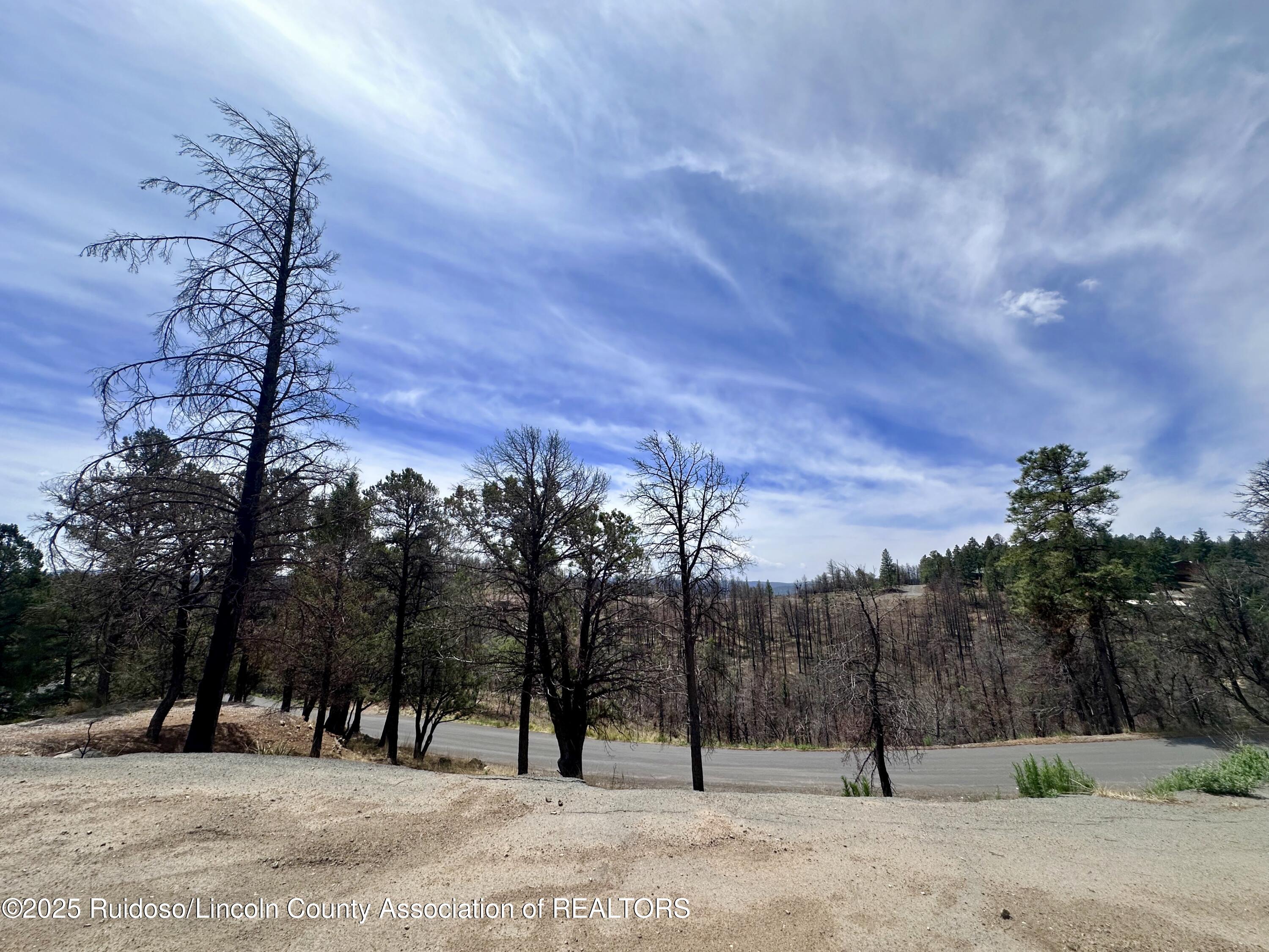 Lot 8A Alpine Village Drive, Ruidoso, New Mexico image 4