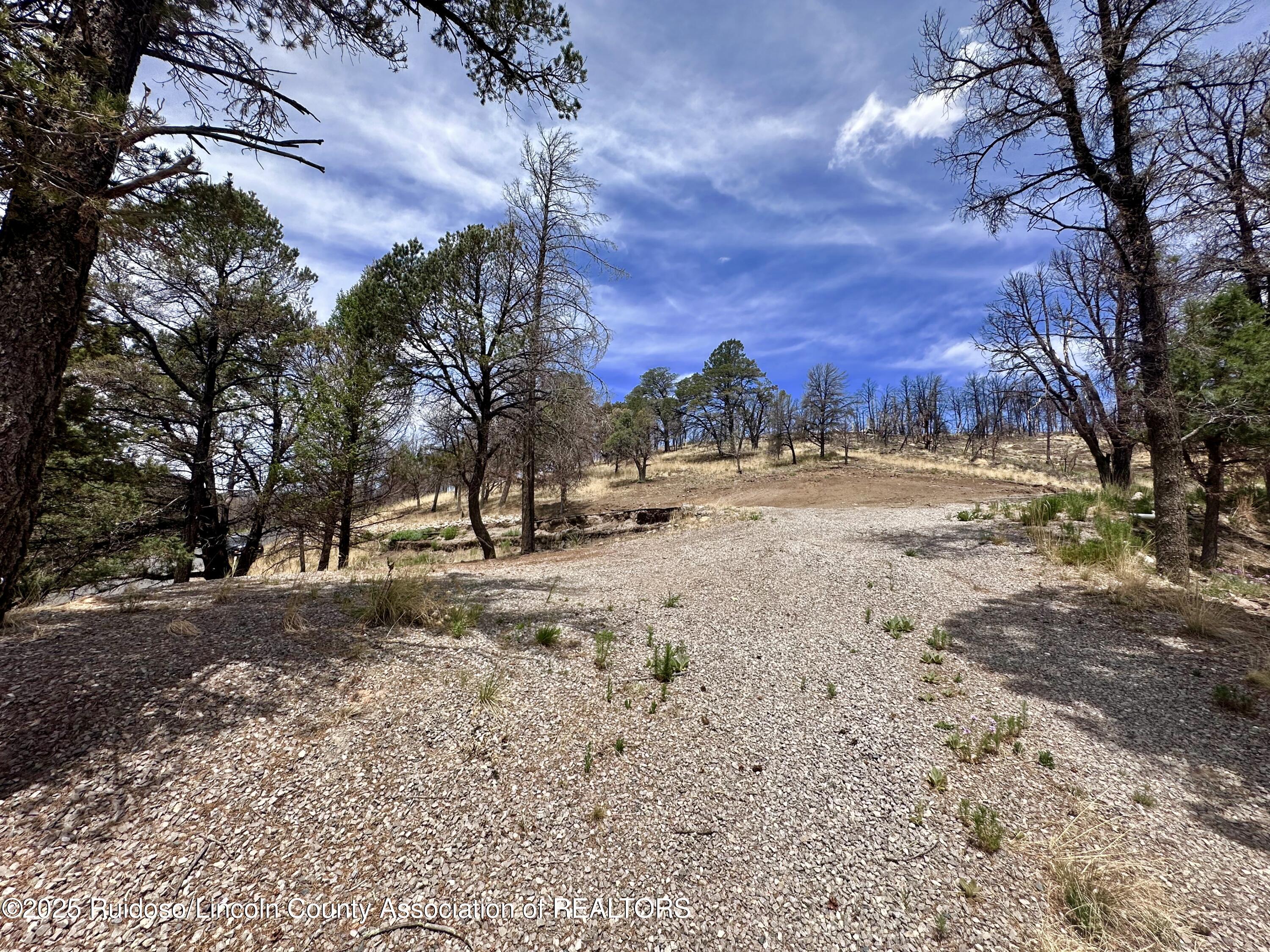 Lot 8A Alpine Village Drive, Ruidoso, New Mexico image 7