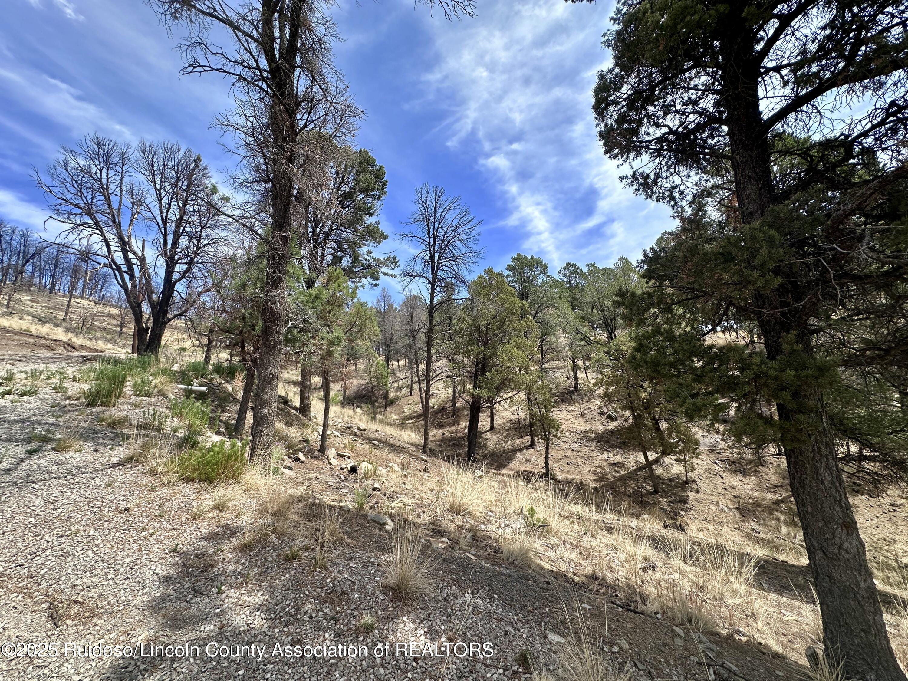 Lot 8A Alpine Village Drive, Ruidoso, New Mexico image 8