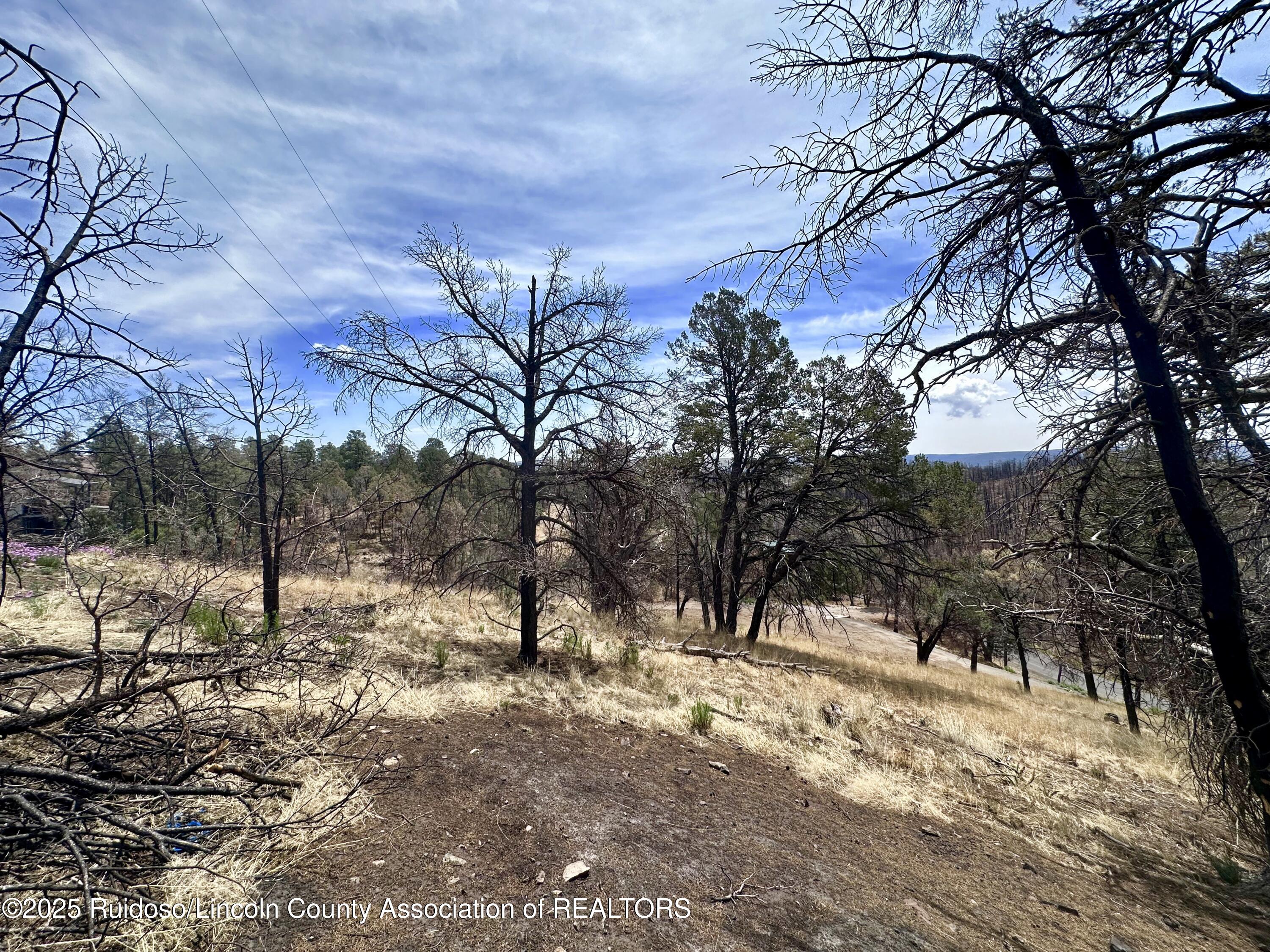 Lot 8A Alpine Village Drive, Ruidoso, New Mexico image 16