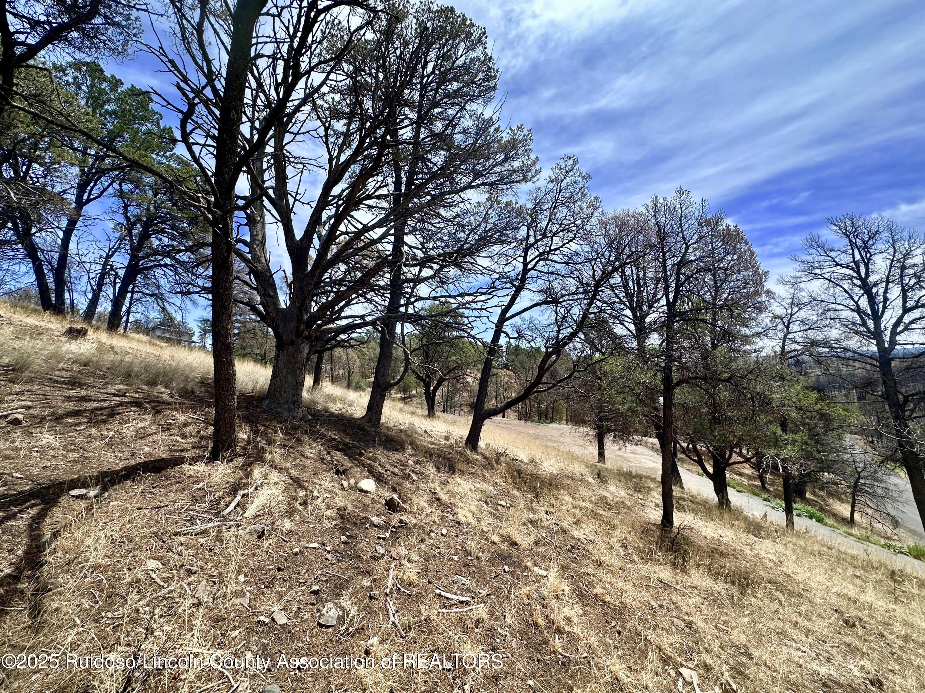 Lot 8A Alpine Village Drive, Ruidoso, New Mexico image 19