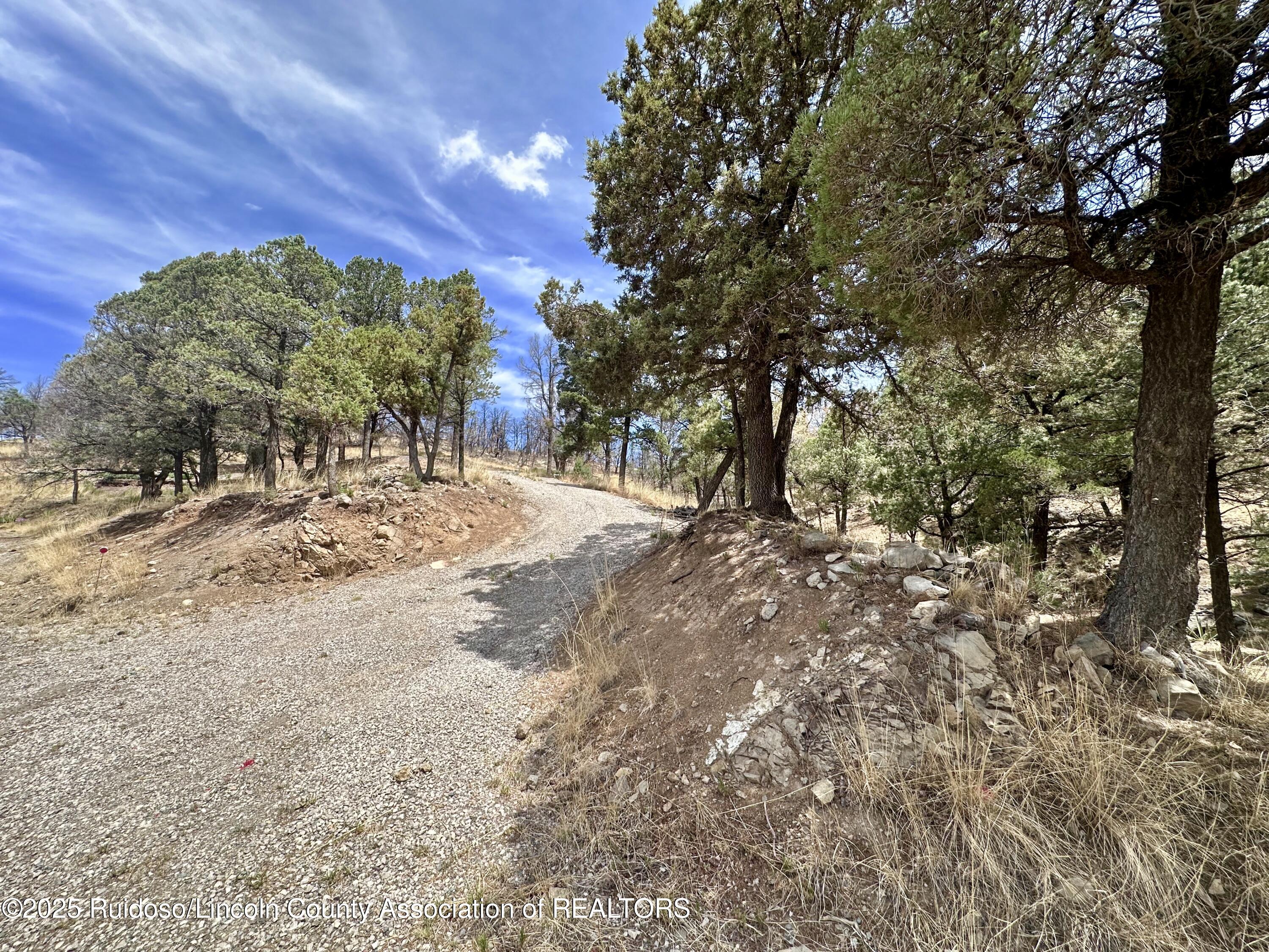 Lot 8A Alpine Village Drive, Ruidoso, New Mexico image 3