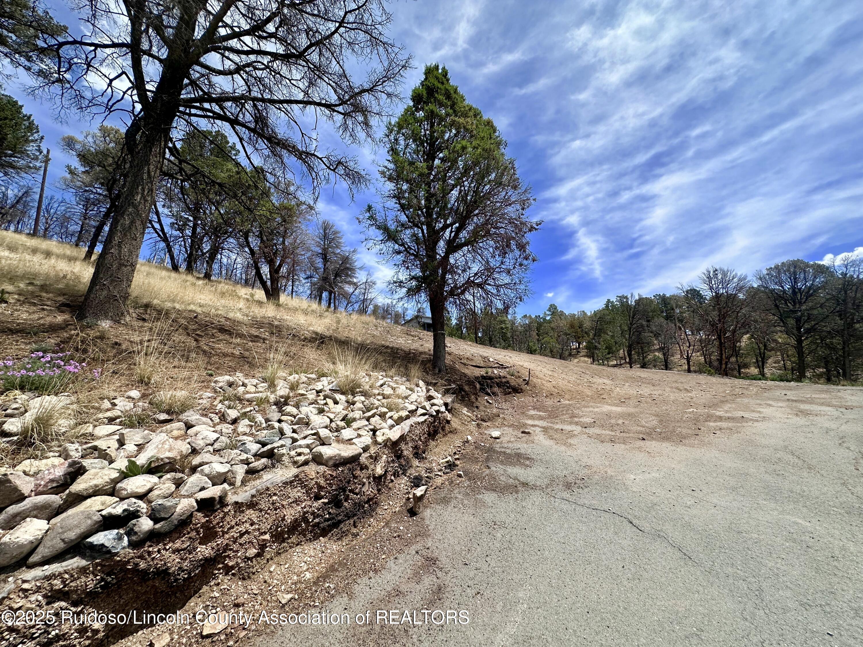 Lot 8A Alpine Village Drive, Ruidoso, New Mexico image 21
