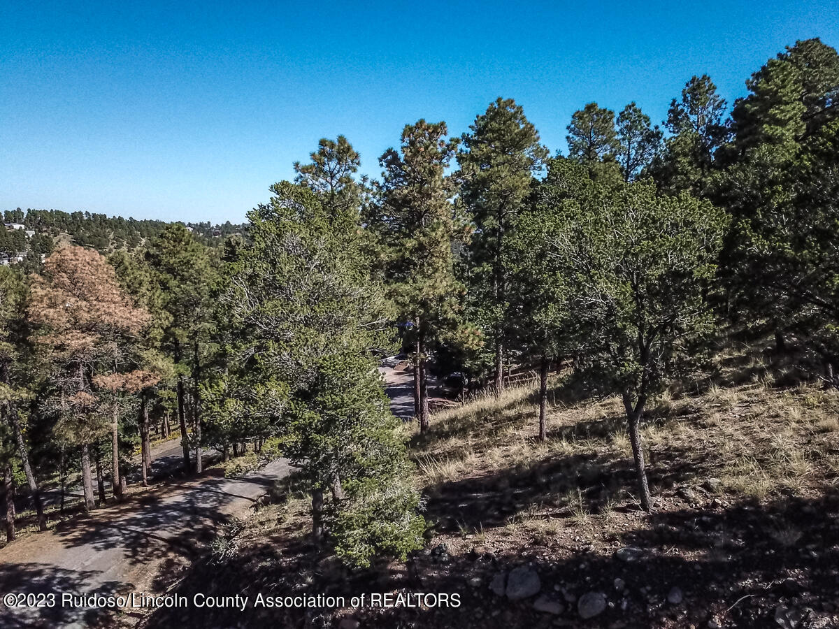 110 Pikes Peak Road, Ruidoso, New Mexico image 3