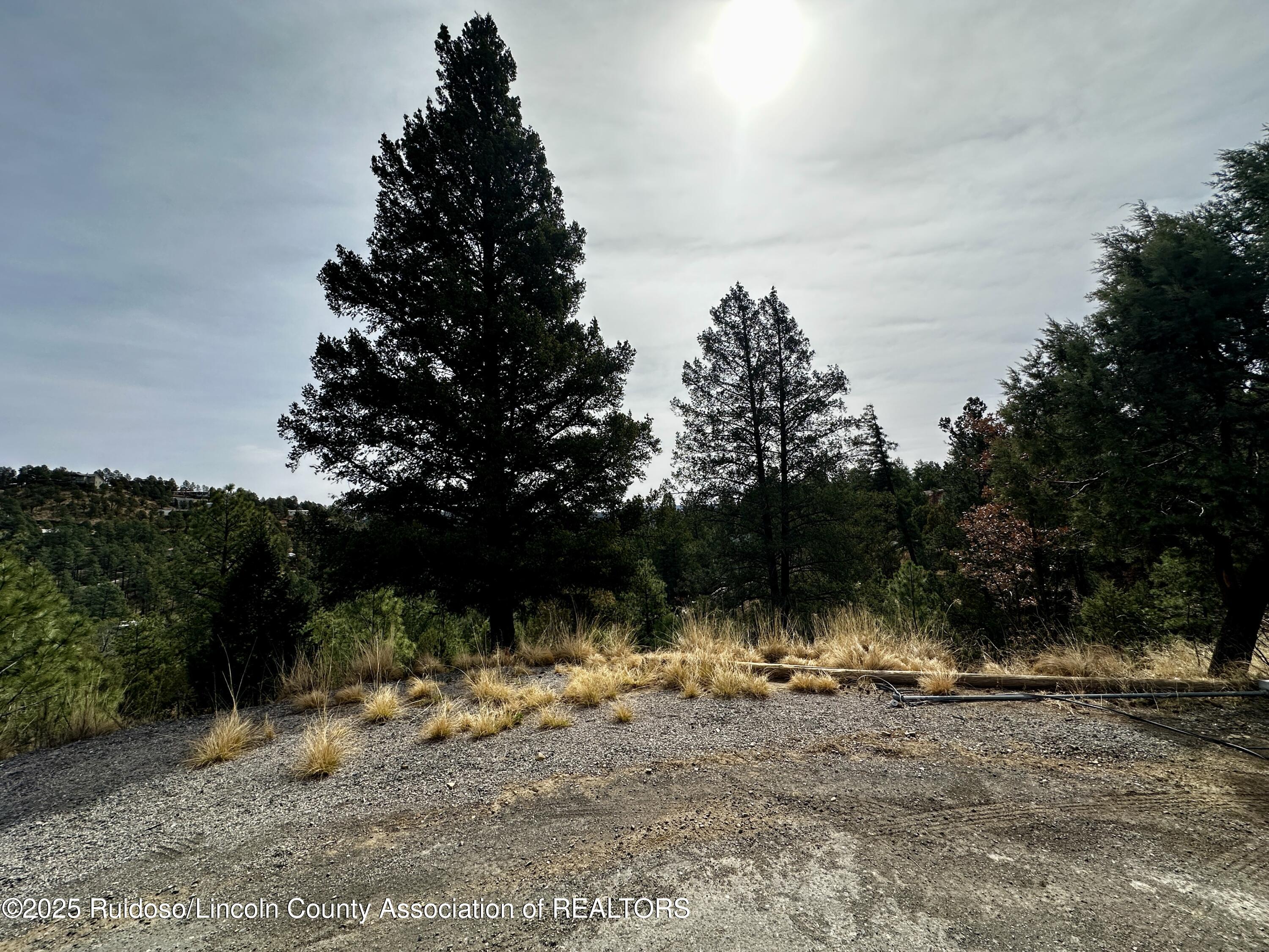 110 Nopal Lane, Ruidoso, New Mexico image 4