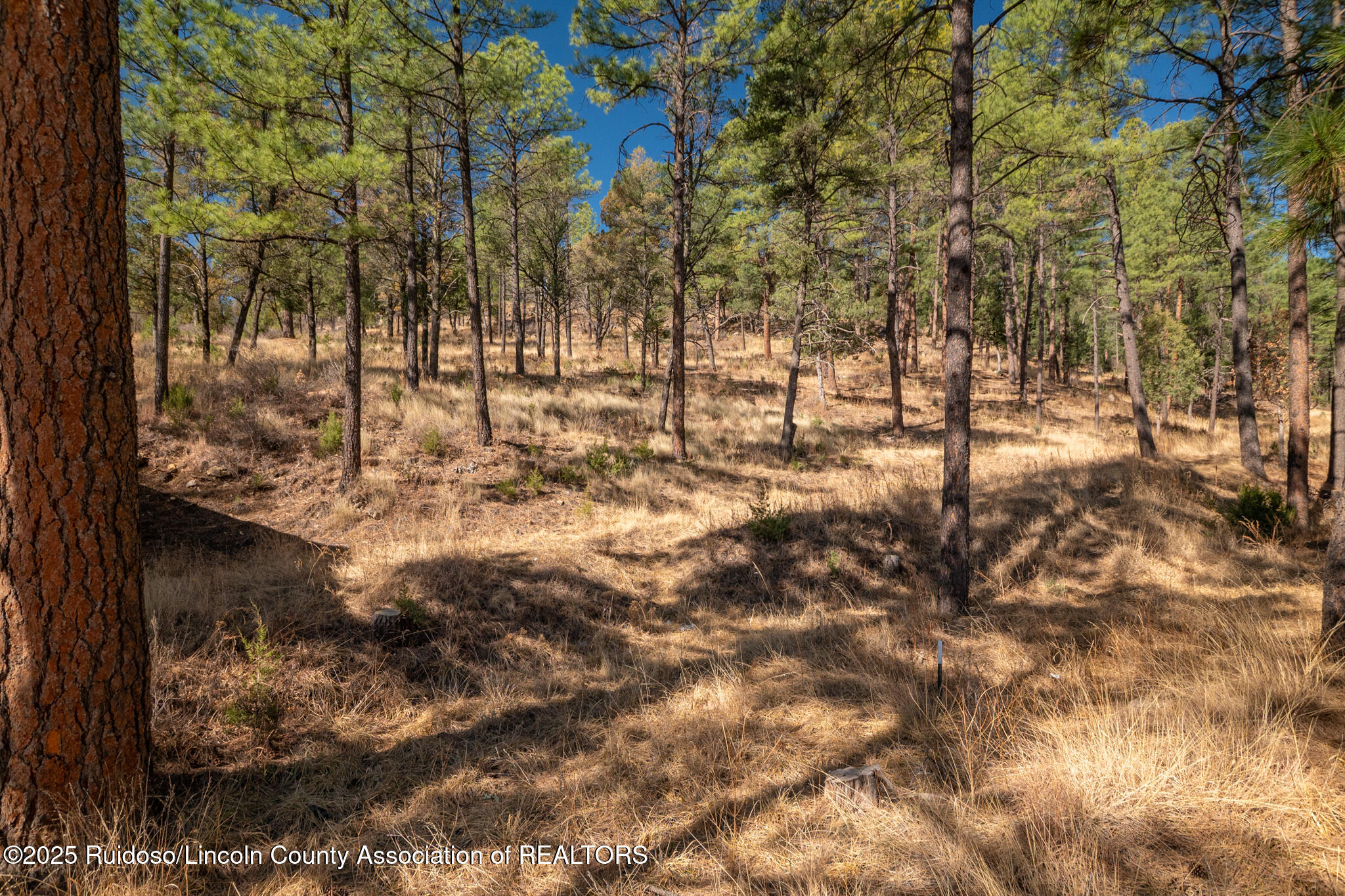 99 Camelot Drive, Ruidoso, New Mexico image 11