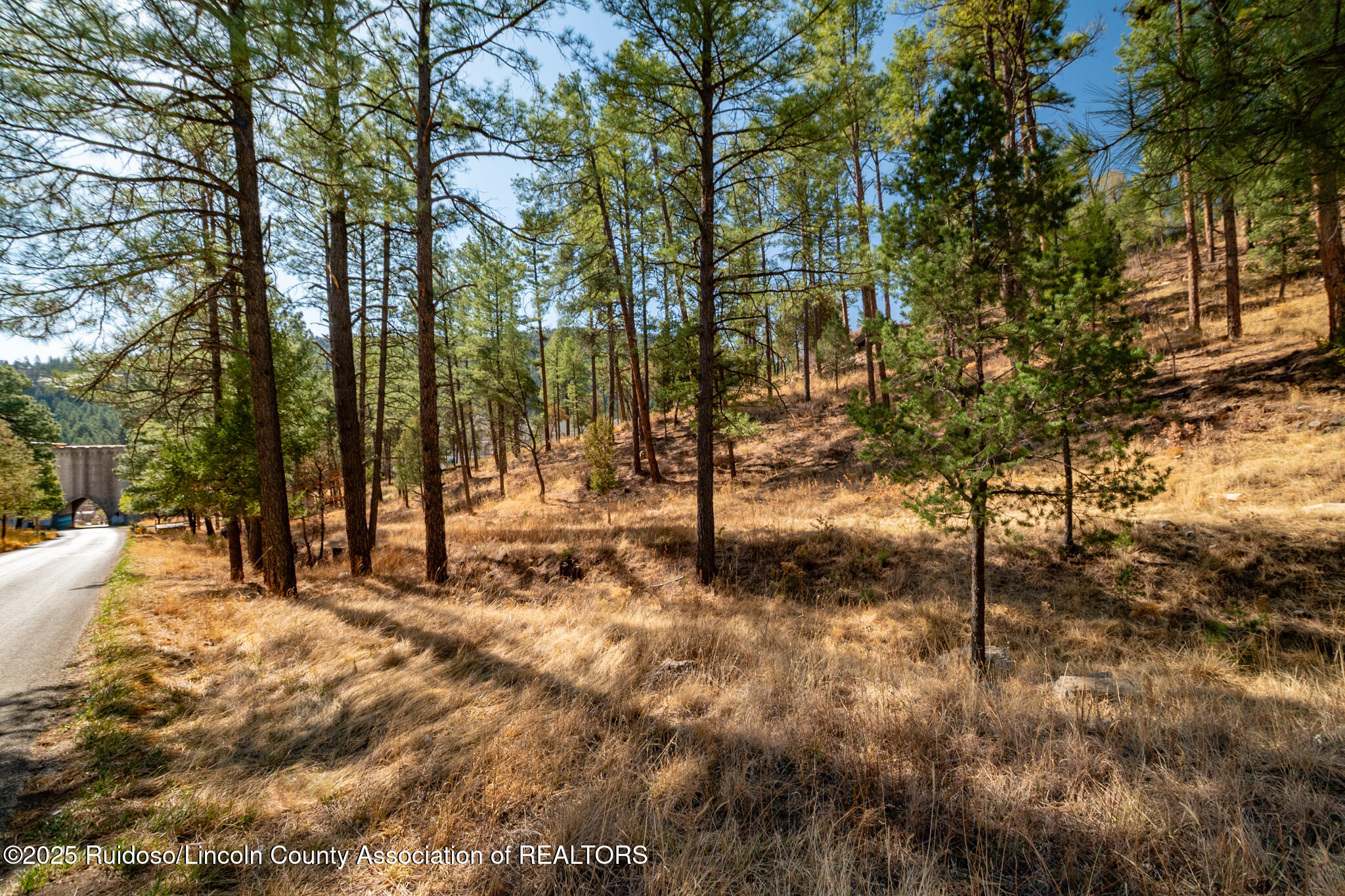 99 Camelot Drive, Ruidoso, New Mexico image 7
