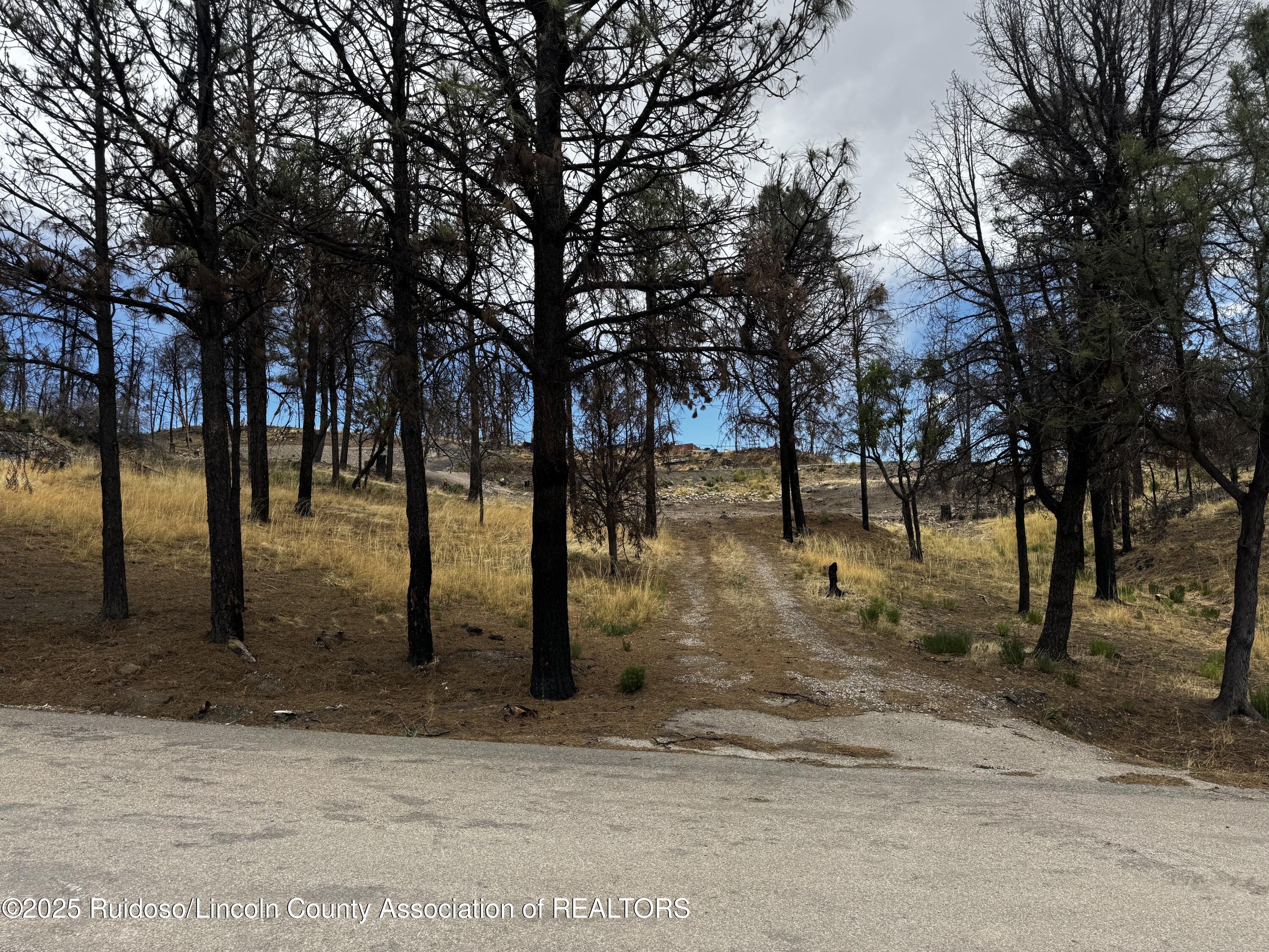 102 Kaibab Drive, Ruidoso, New Mexico image 6
