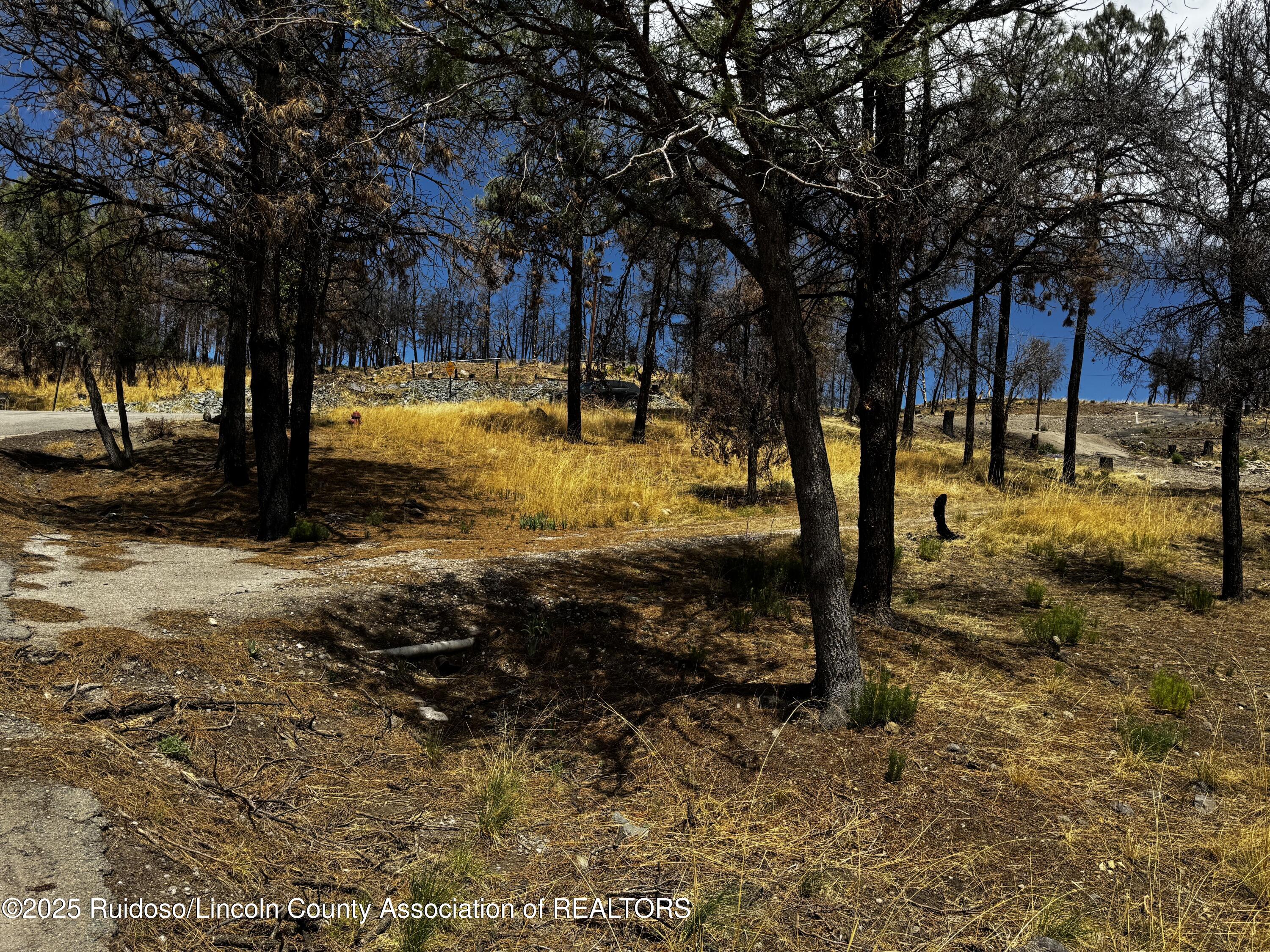 102 Kaibab Drive, Ruidoso, New Mexico image 8