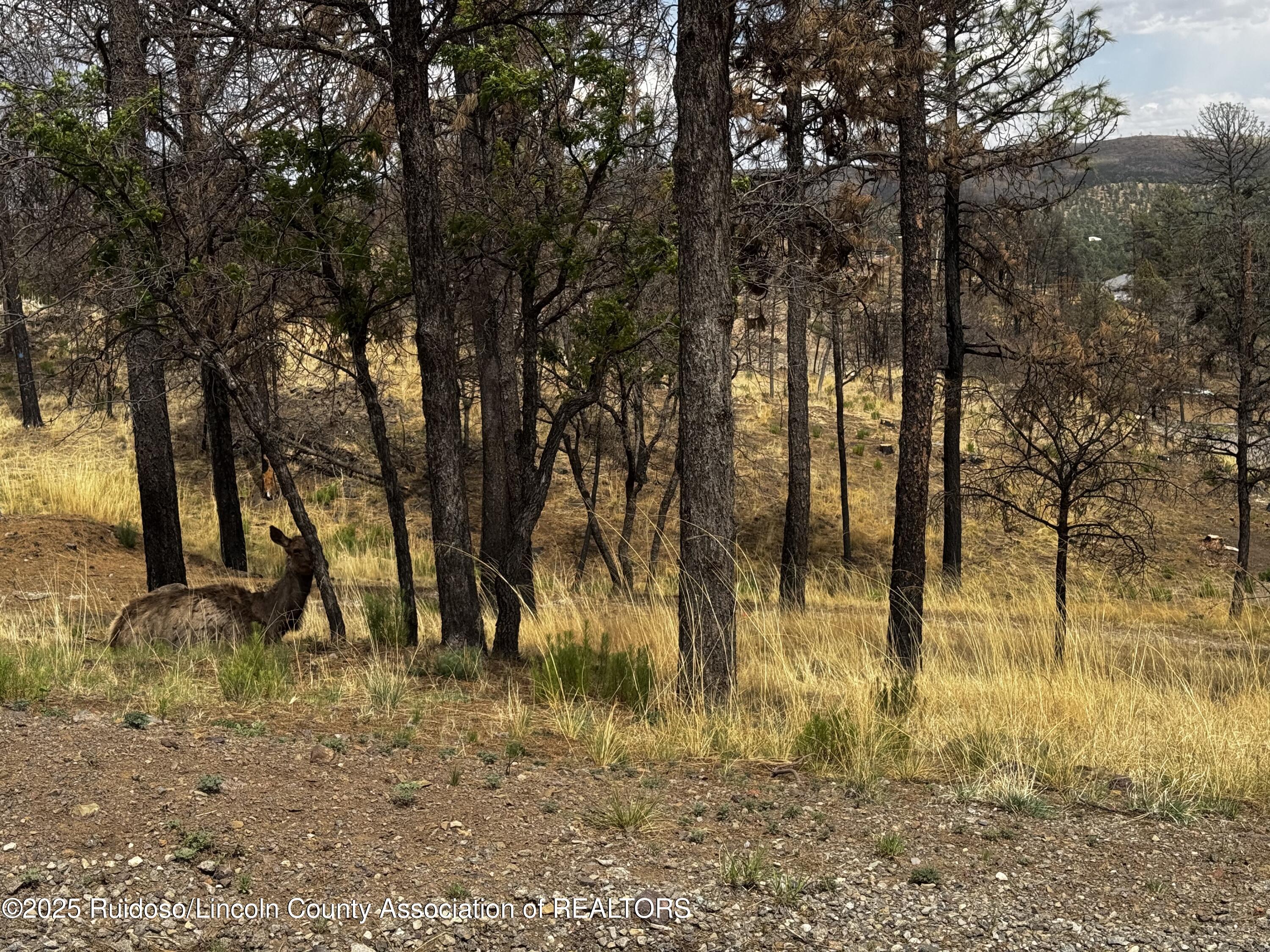 102 Kaibab Drive, Ruidoso, New Mexico image 9