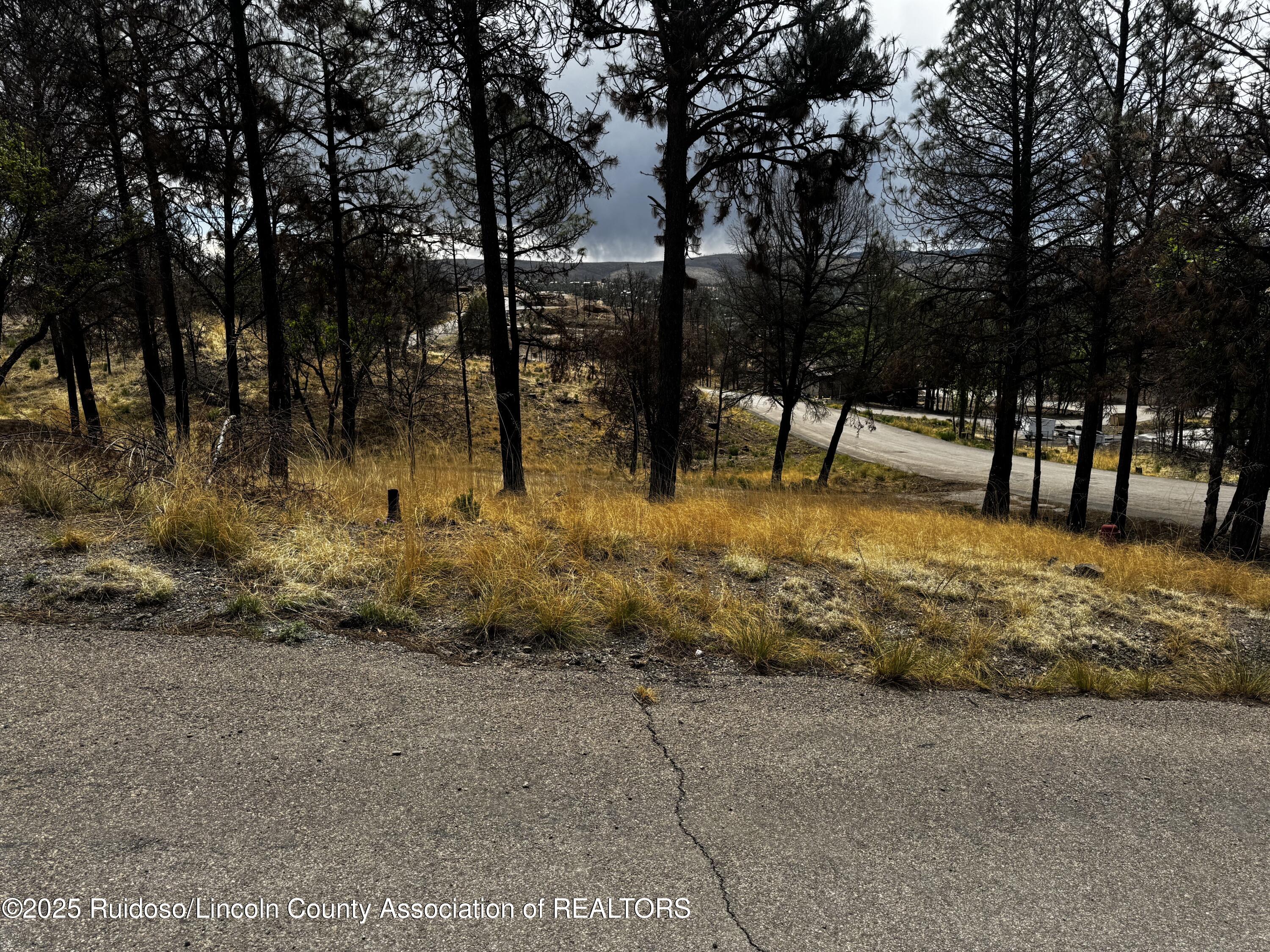 102 Kaibab Drive, Ruidoso, New Mexico image 7