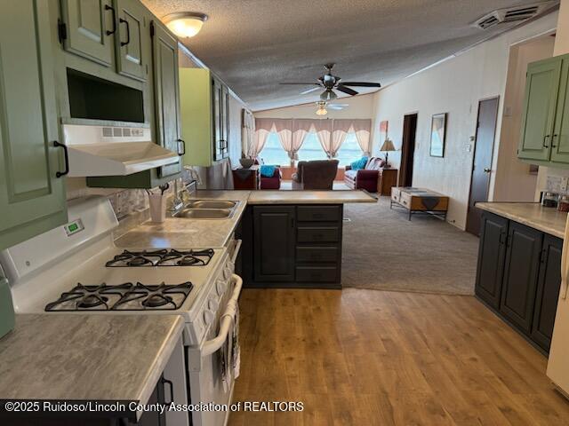 142 Wood Lane Ln, Ruidoso Downs, New Mexico image 8