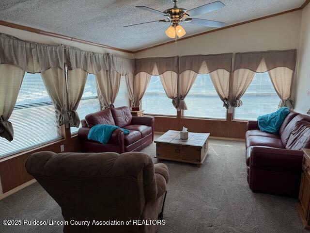142 Wood Lane Ln, Ruidoso Downs, New Mexico image 7