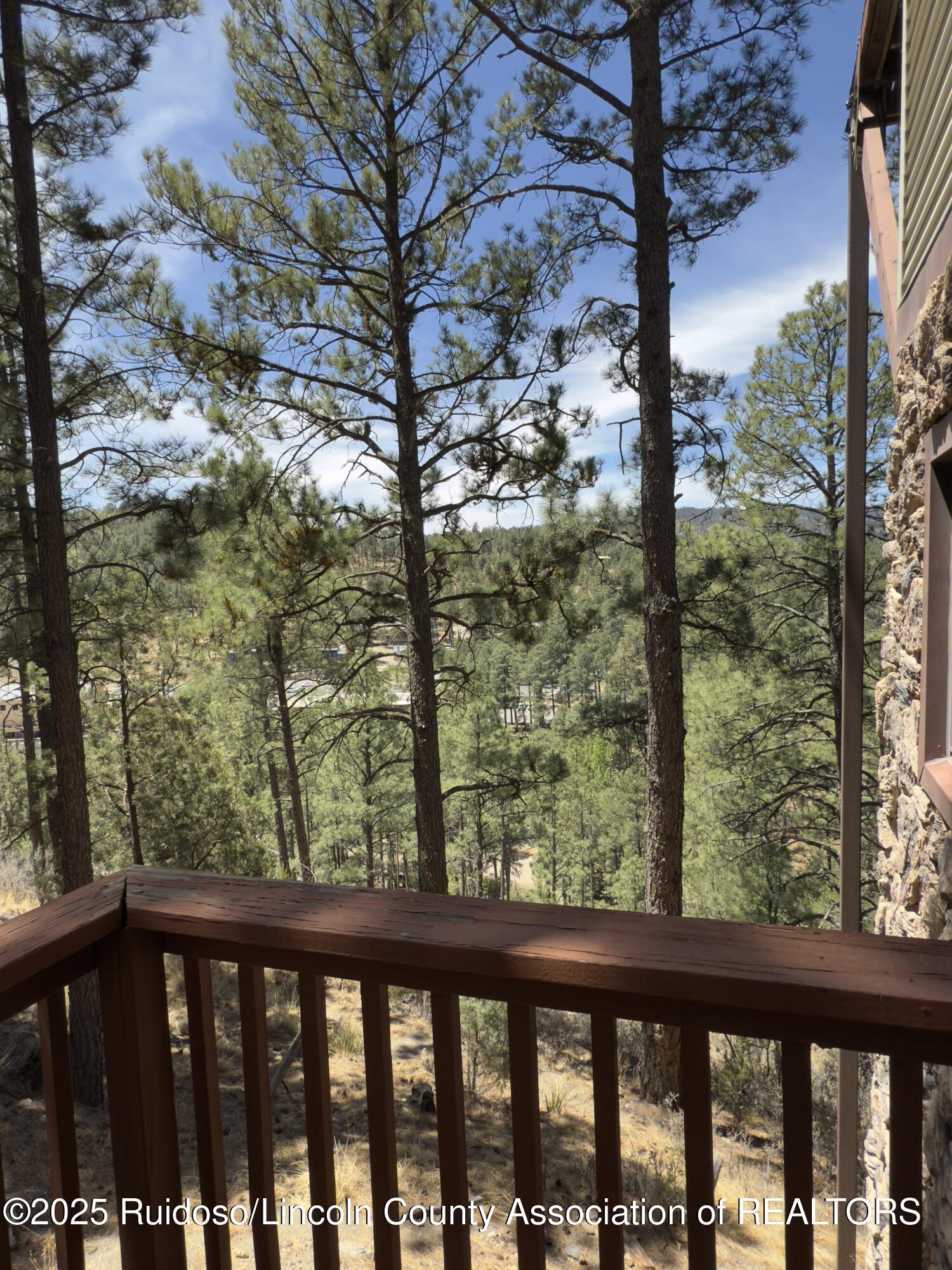 220 Lookout Drive #g2 Dr, Ruidoso, New Mexico image 29