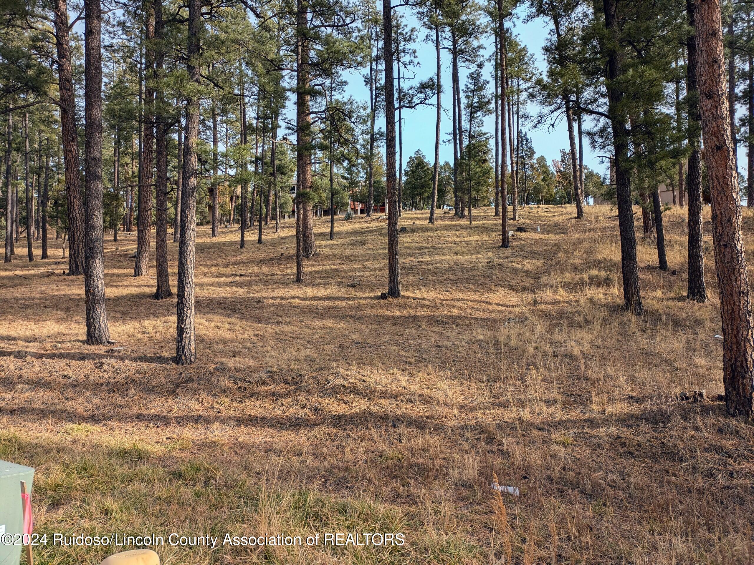 320-322 White Mountain Meadows Drive, Ruidoso, New Mexico image 1