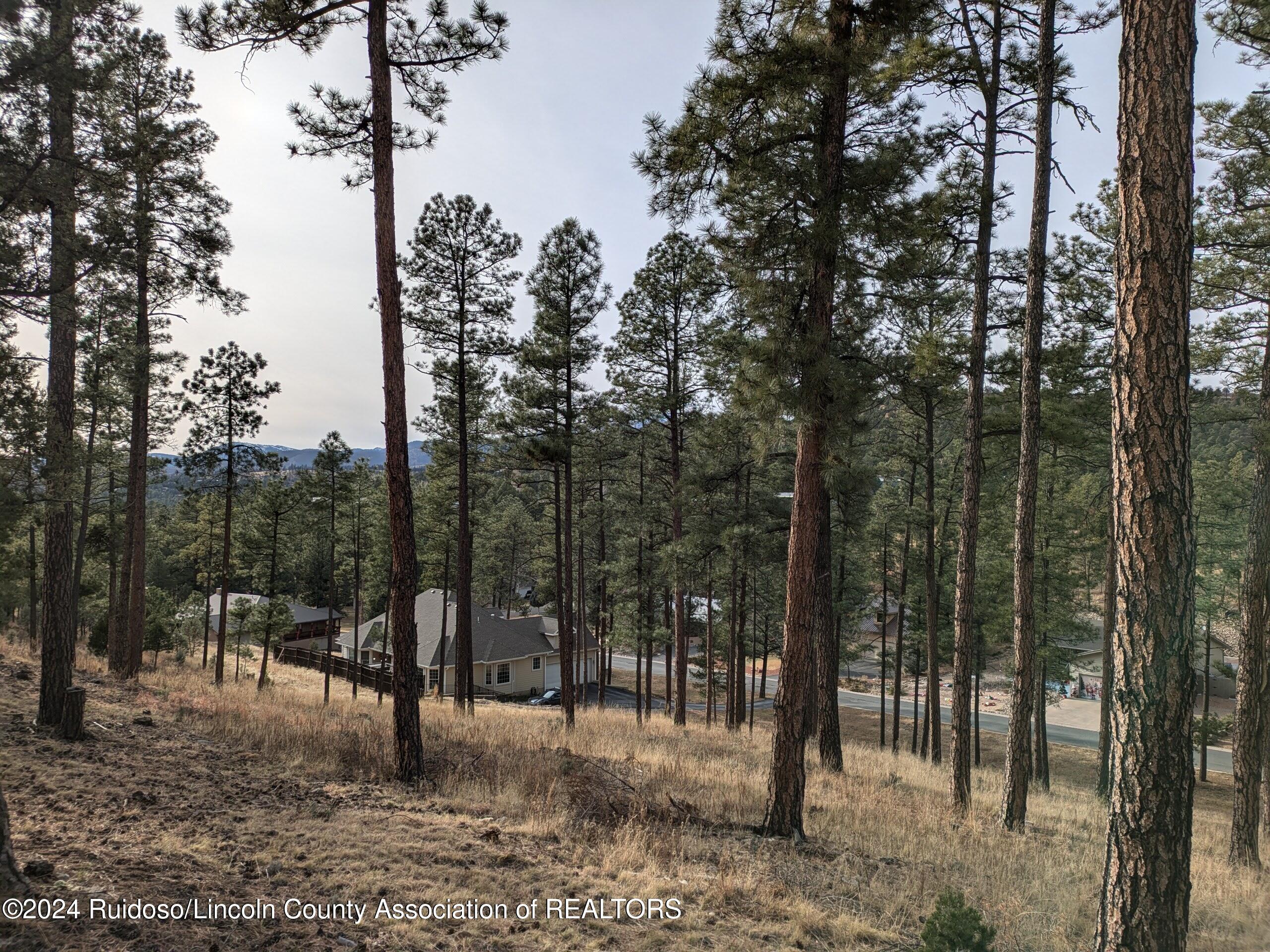 320-322 White Mountain Meadows Drive, Ruidoso, New Mexico image 8