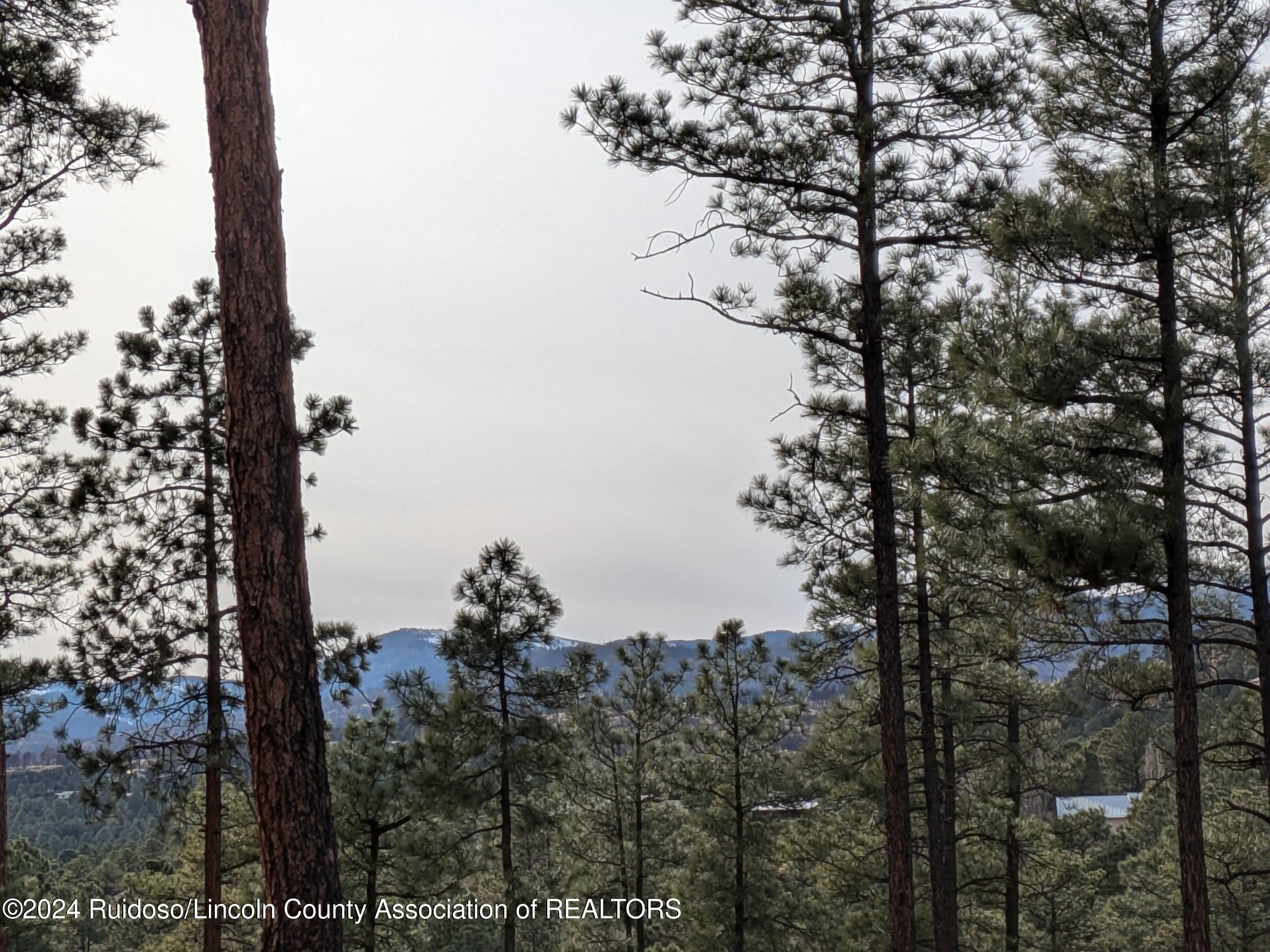 320-322 White Mountain Meadows Drive, Ruidoso, New Mexico image 9