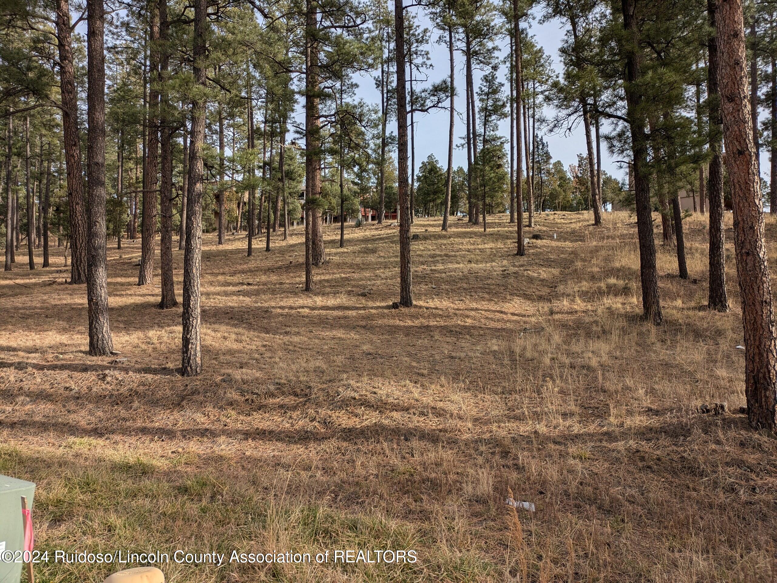 320-322 White Mountain Meadows Drive, Ruidoso, New Mexico image 5