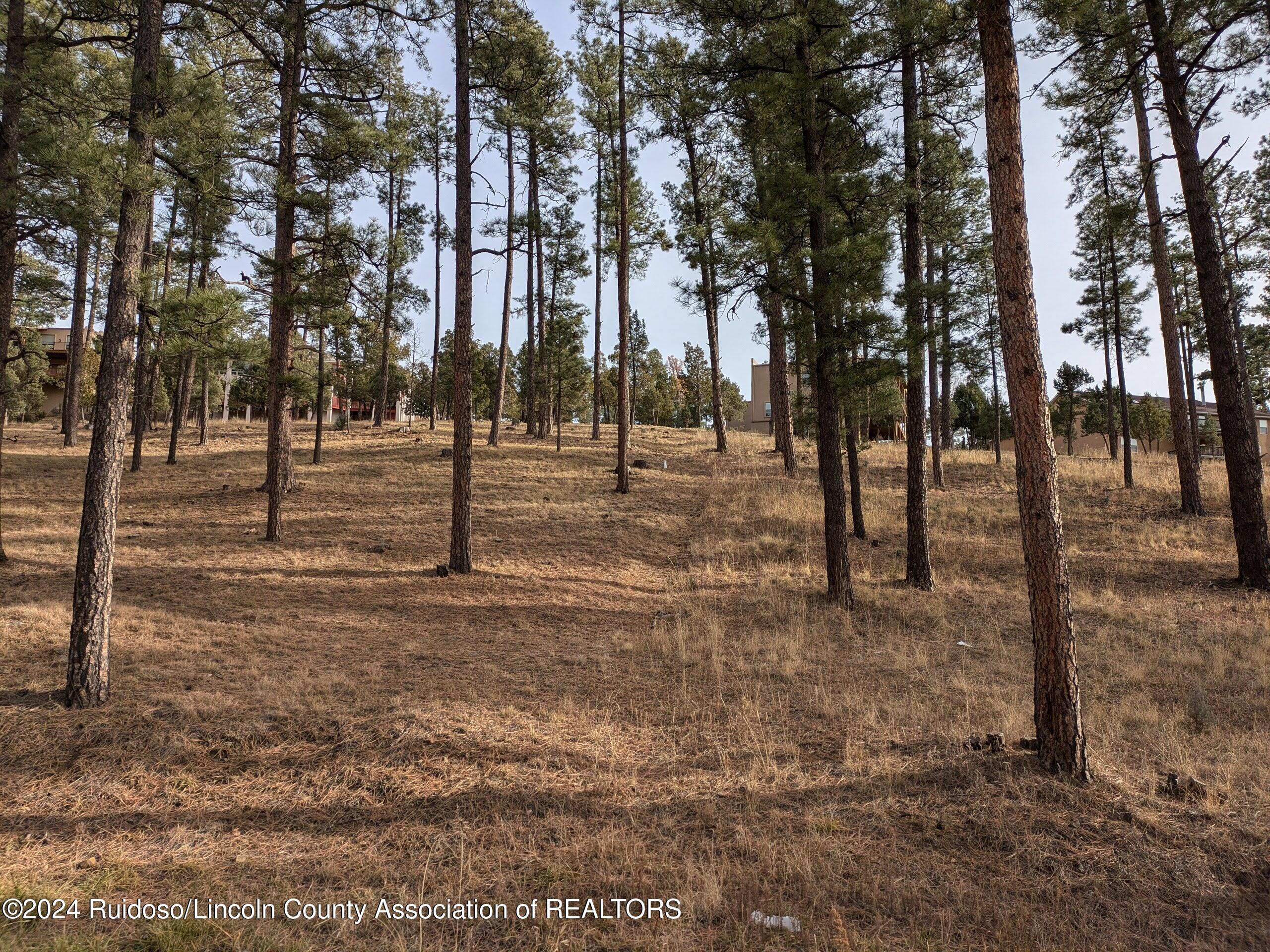 320-322 White Mountain Meadows Drive, Ruidoso, New Mexico image 6