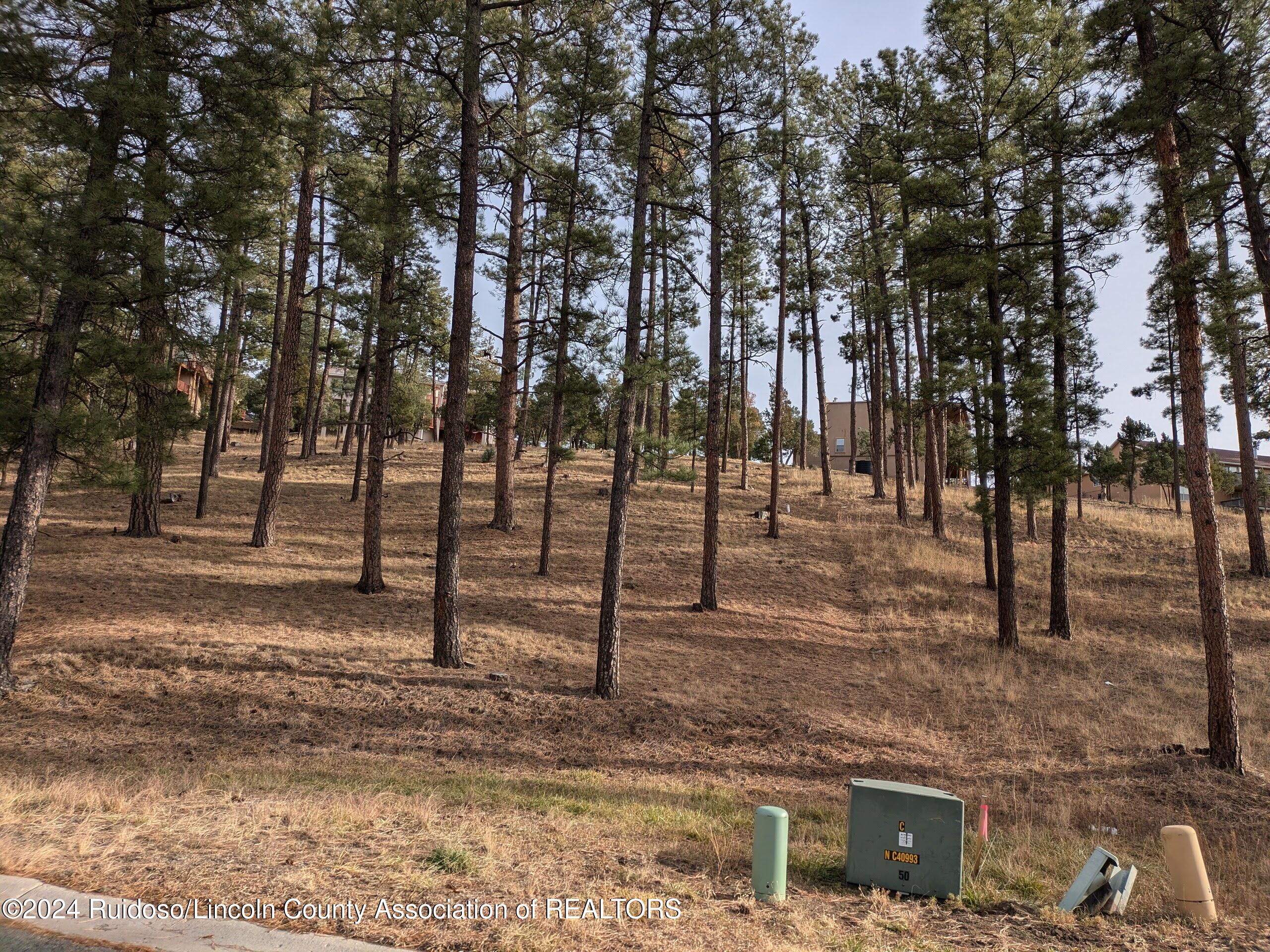 320-322 White Mountain Meadows Drive, Ruidoso, New Mexico image 4