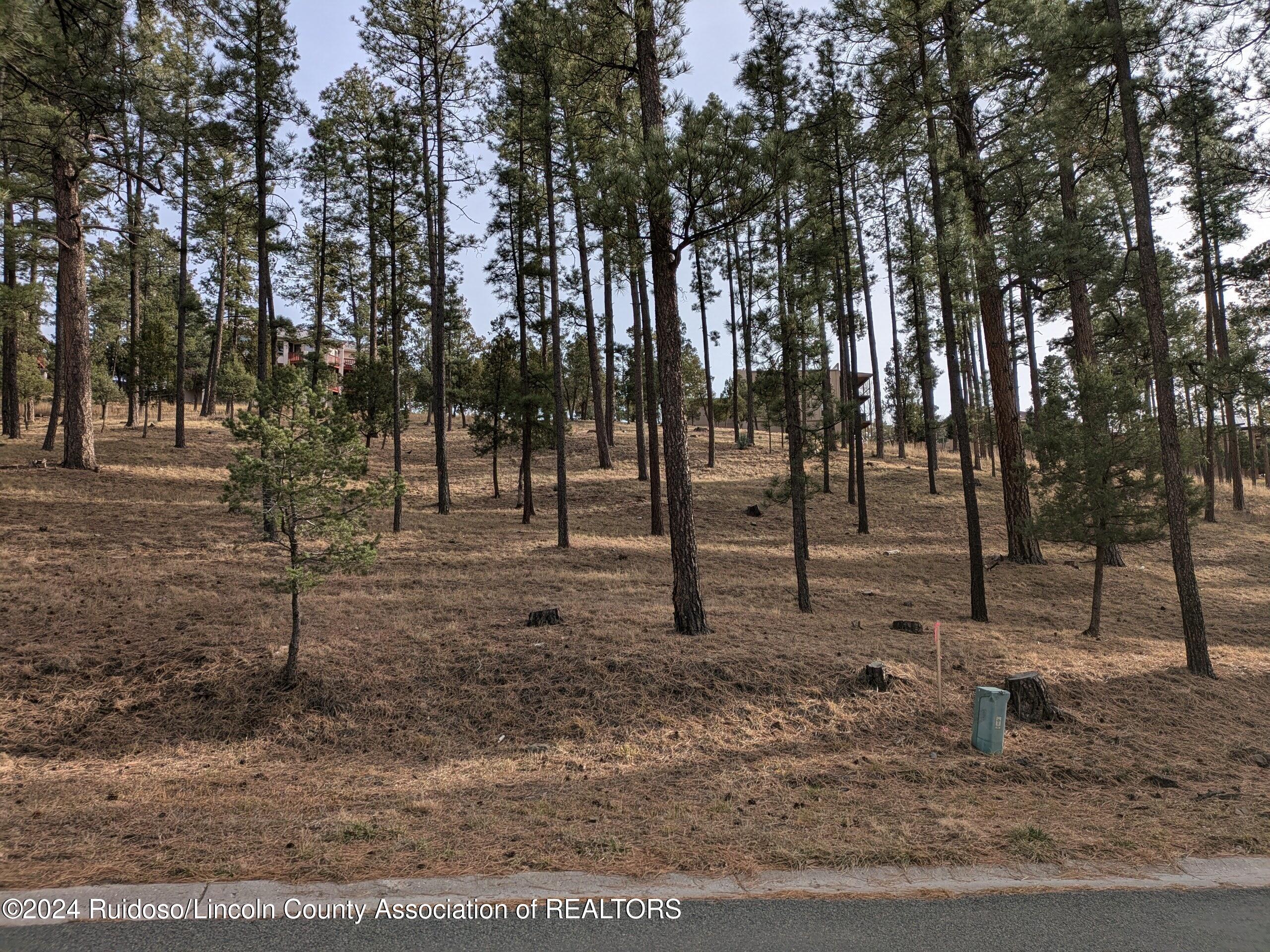 320-322 White Mountain Meadows Drive, Ruidoso, New Mexico image 3