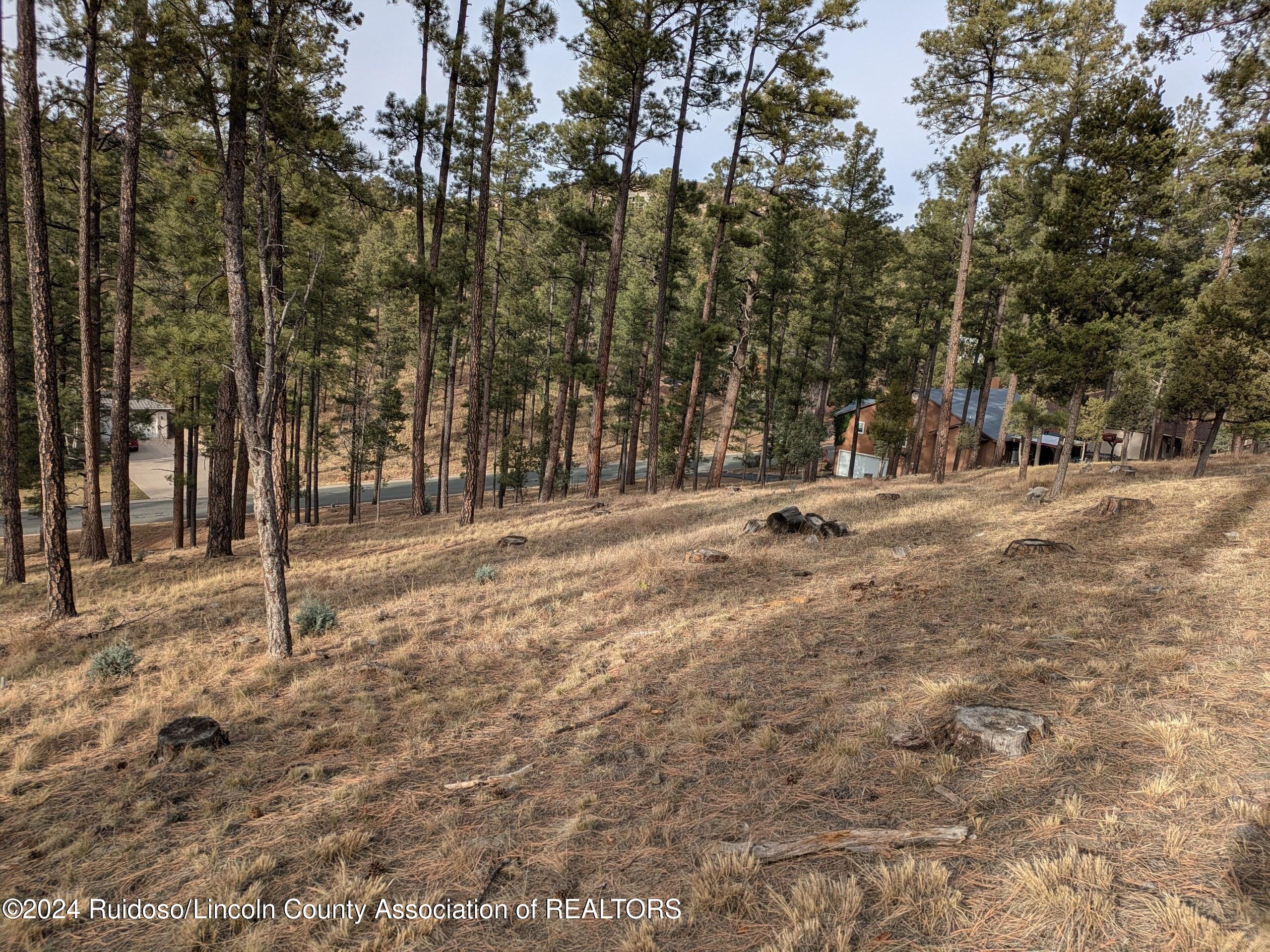 320-322 White Mountain Meadows Drive, Ruidoso, New Mexico image 7