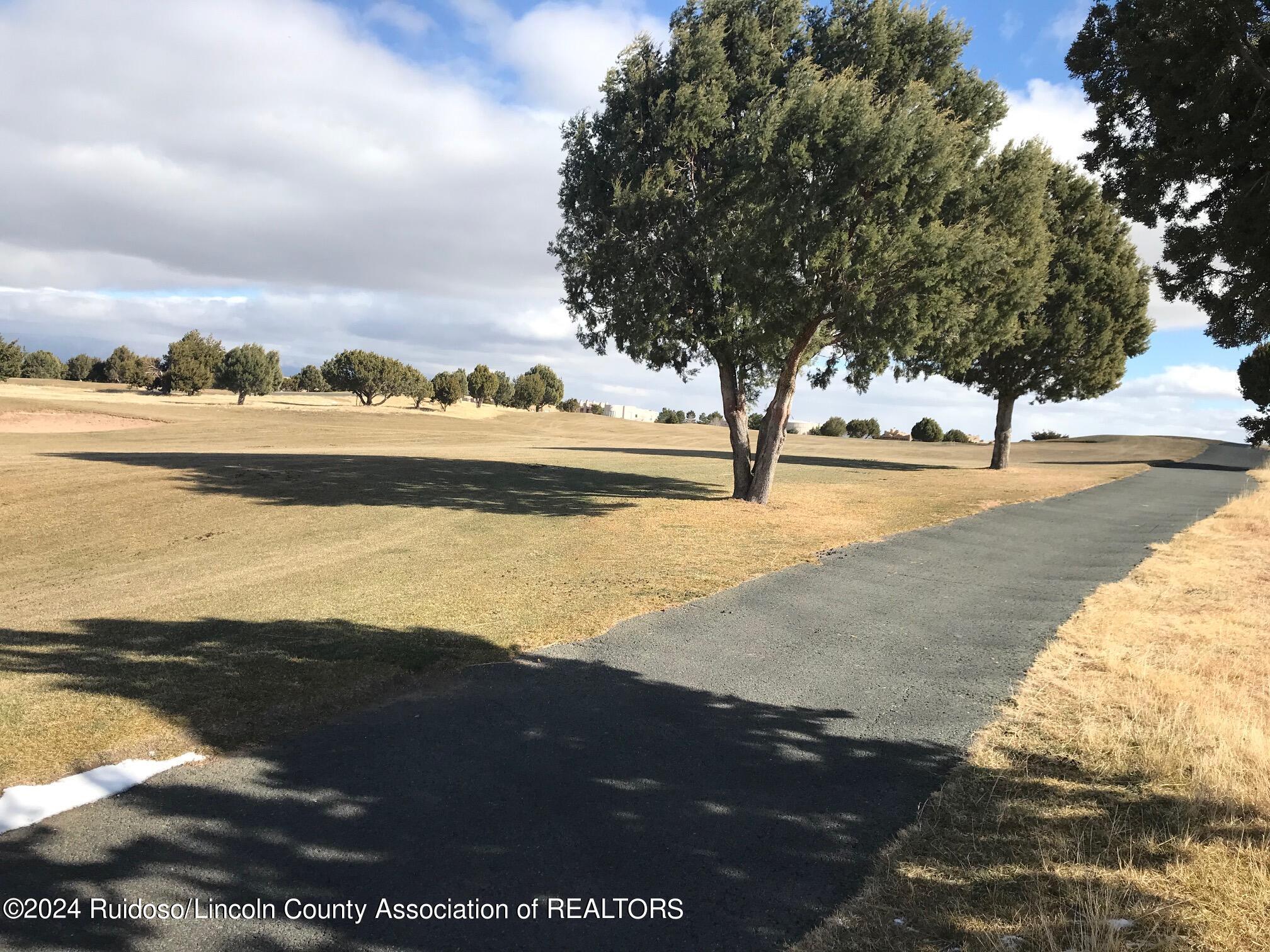 Lot 12 Spencer Road, Alto, New Mexico image 3