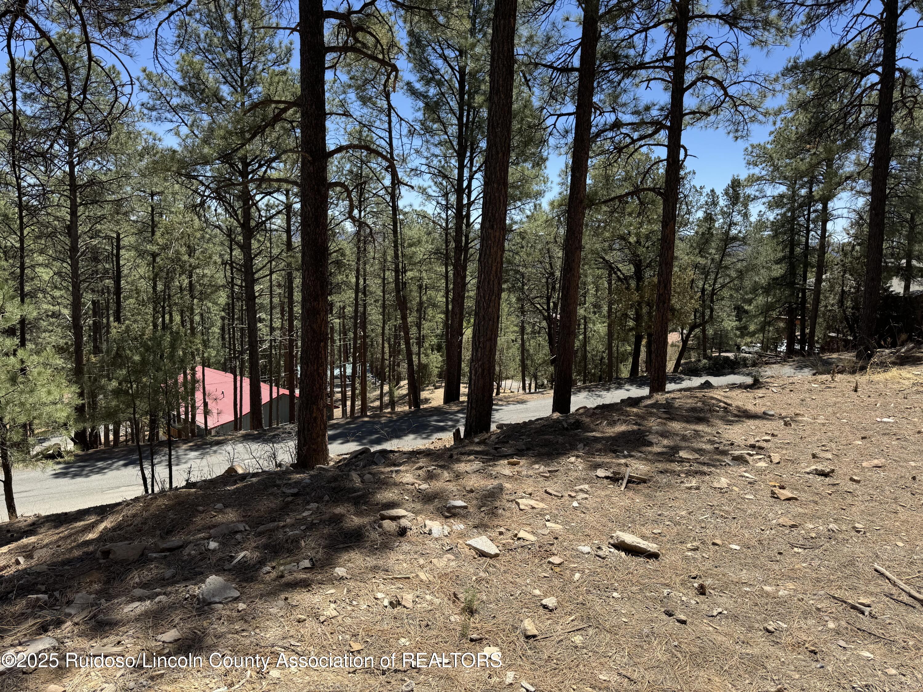 140 Yellow Pine Road #V, Ruidoso, New Mexico image 3