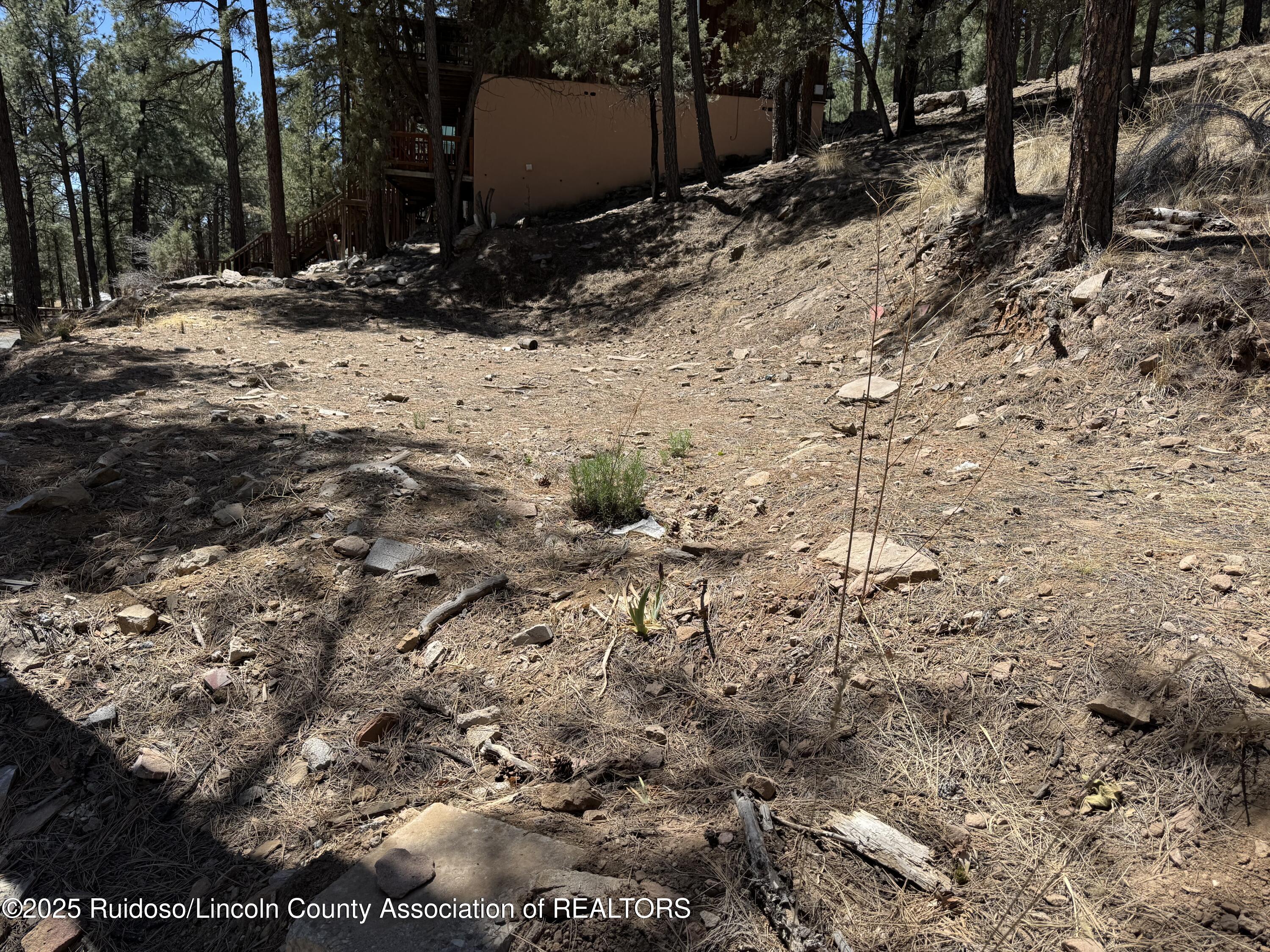 140 Yellow Pine Road #V, Ruidoso, New Mexico image 2