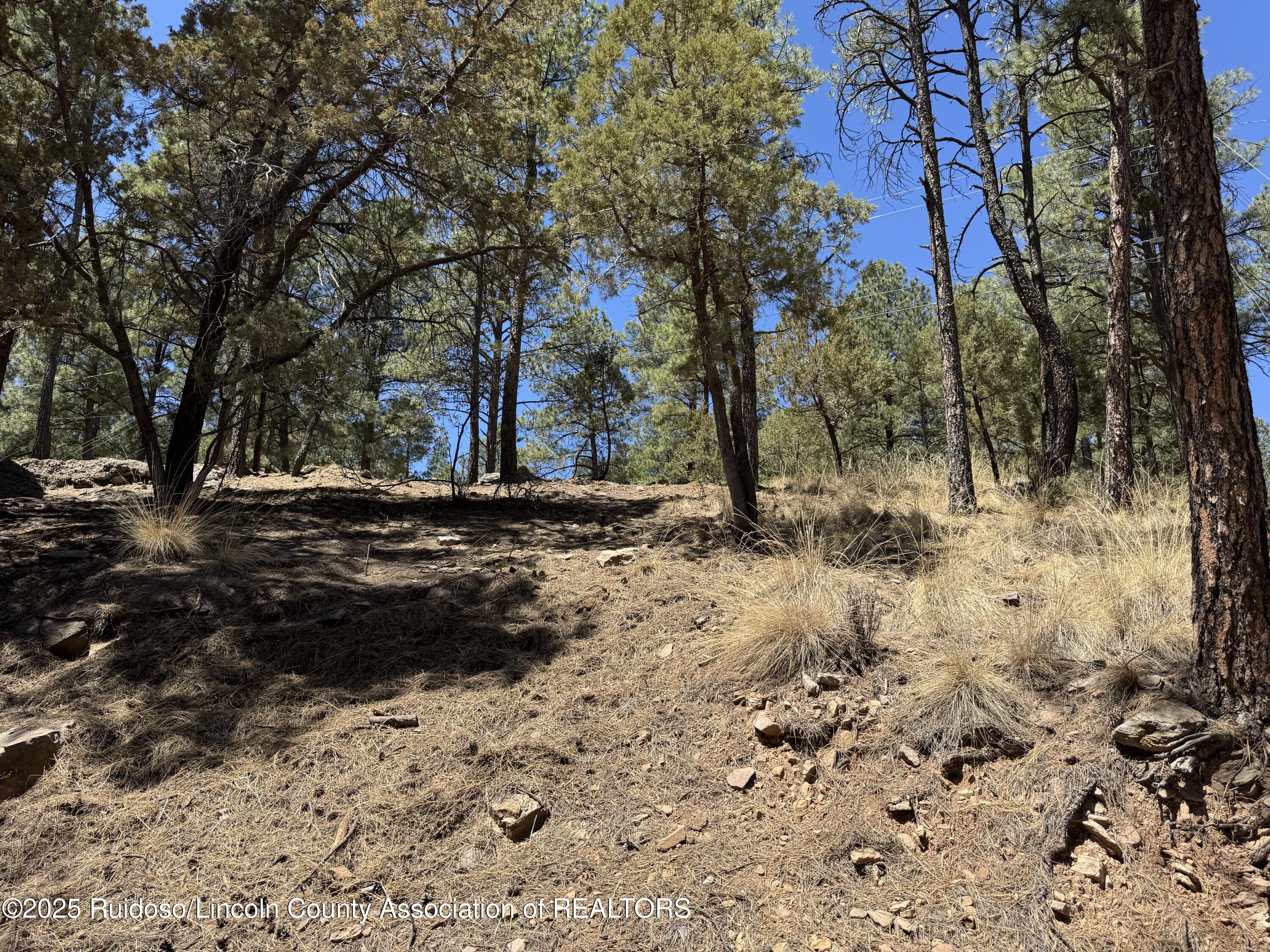 140 Yellow Pine Road #V, Ruidoso, New Mexico image 5