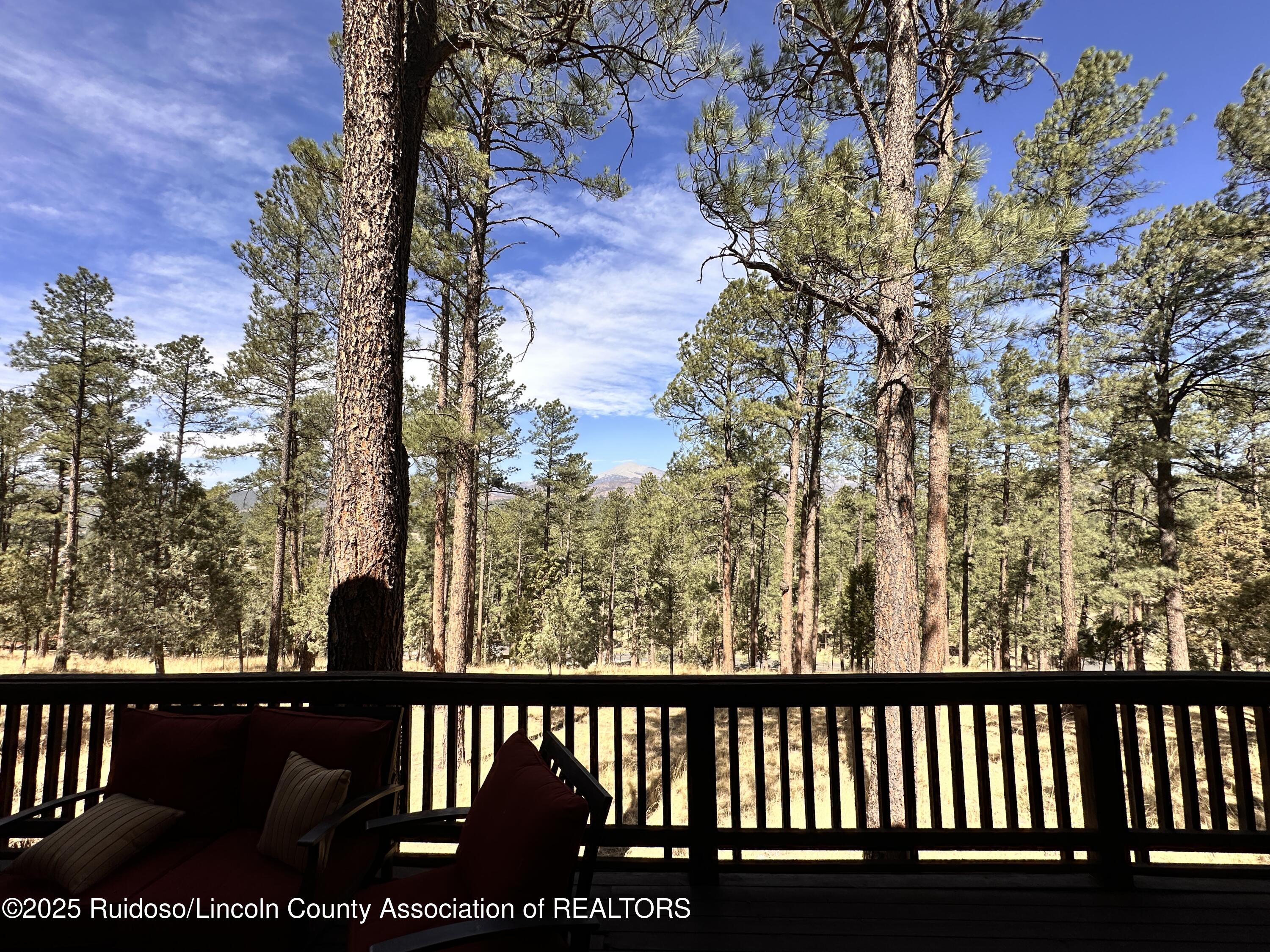 407 High Loop Drive, Ruidoso, New Mexico image 10