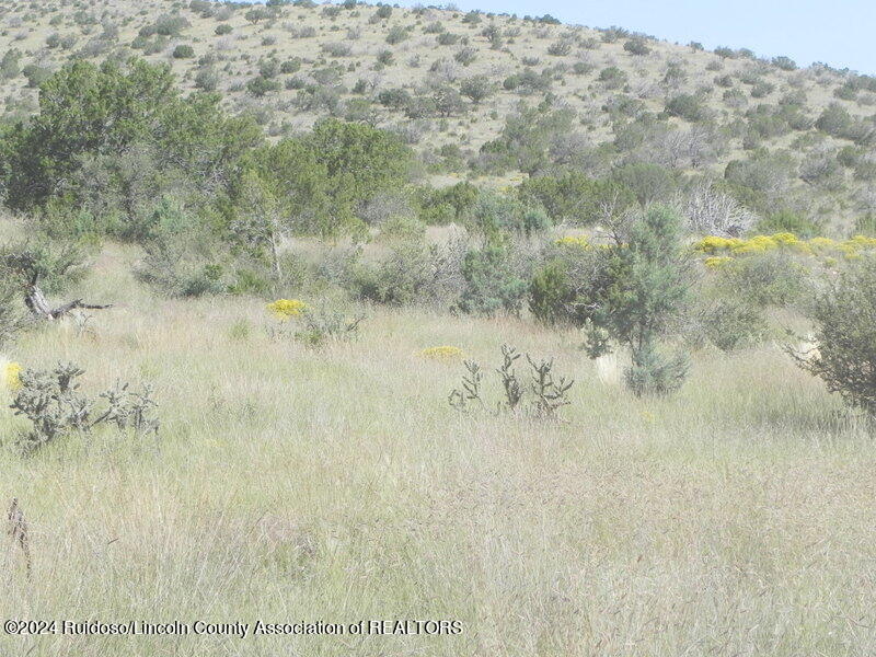 110 Wright Well Road, Pinon, New Mexico image 1