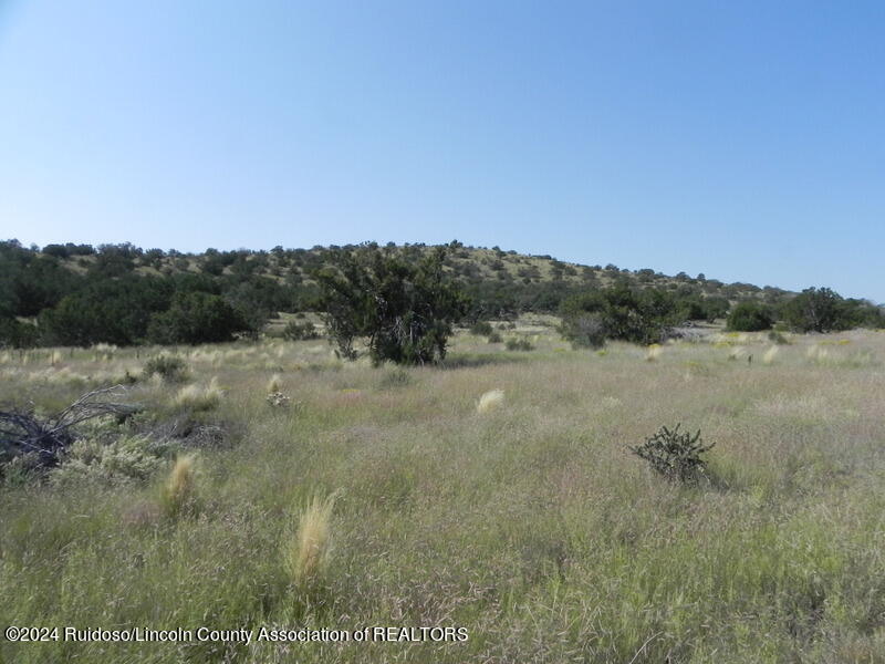 110 Wright Well Road, Pinon, New Mexico image 7