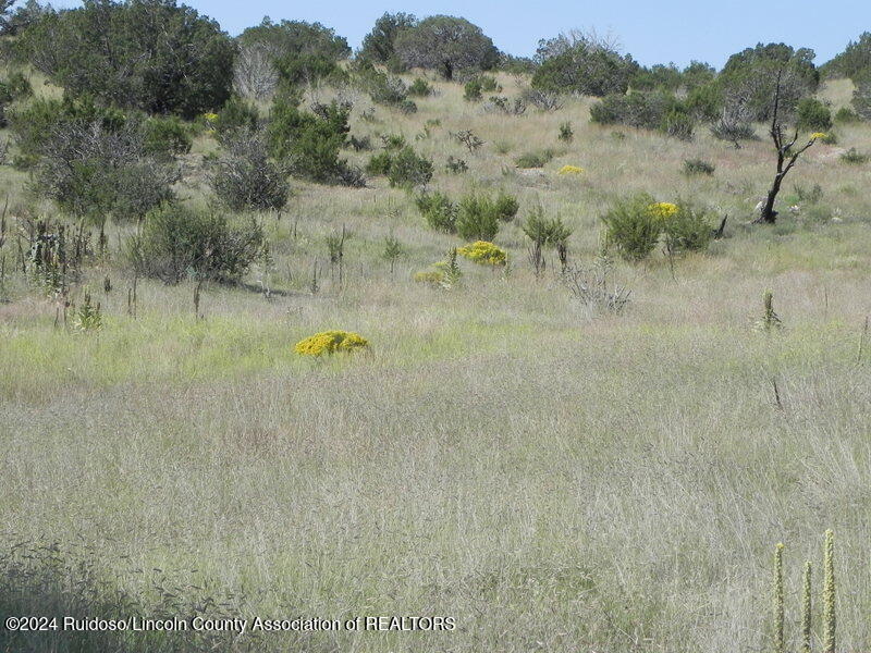 110 Wright Well Road, Pinon, New Mexico image 8